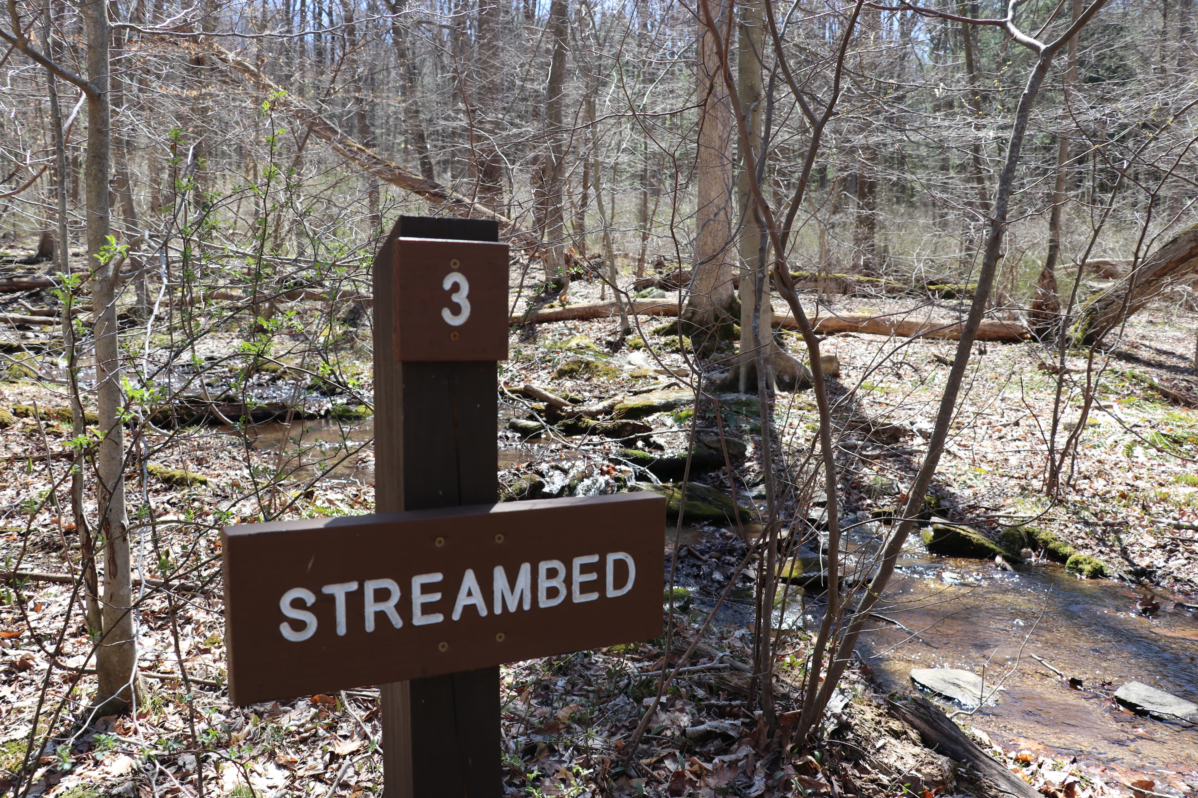 Brown's Farm Trail Stop 3: The Streambed