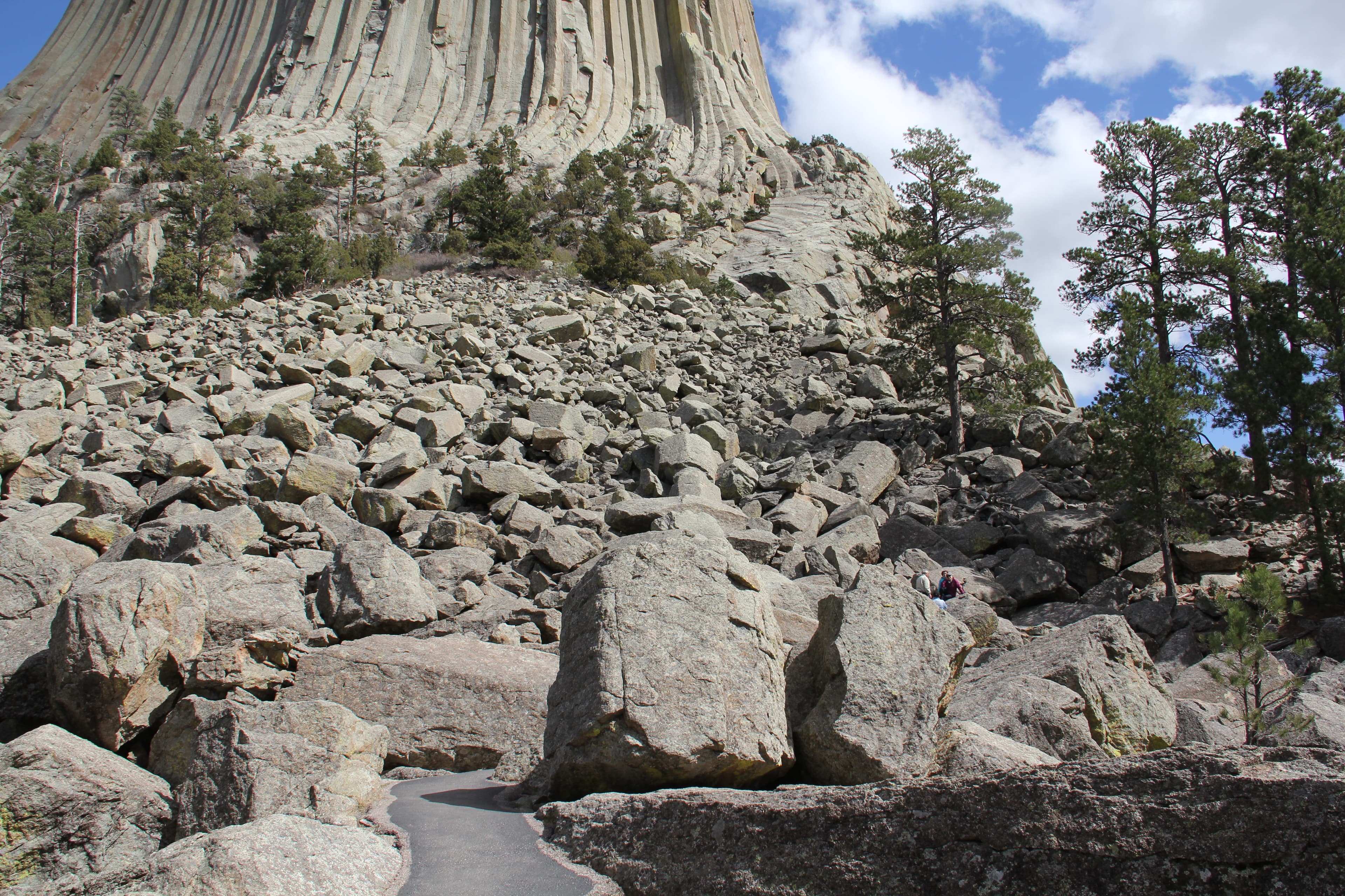 Devils Tower Boulder Field