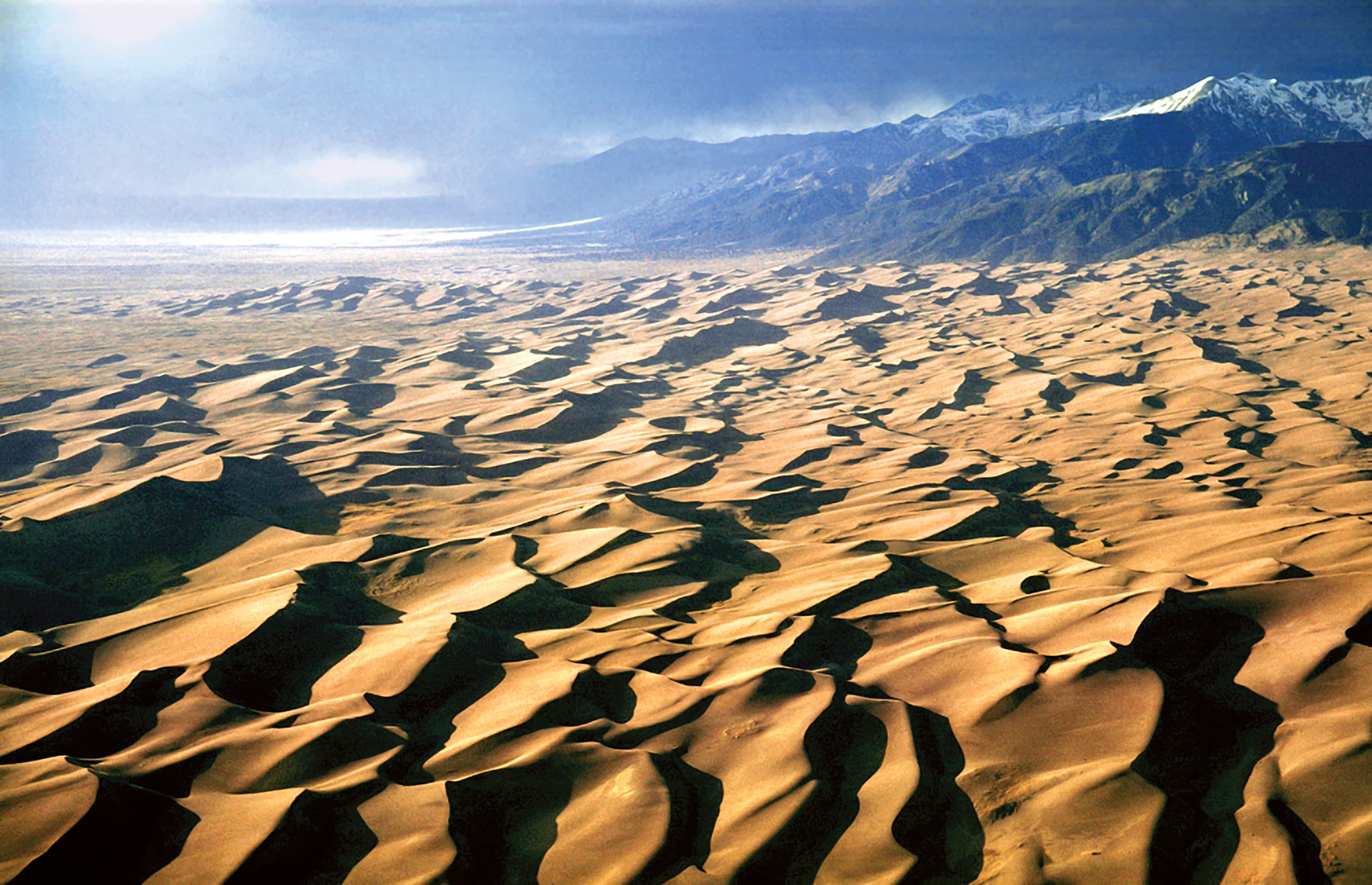 The Dunefield