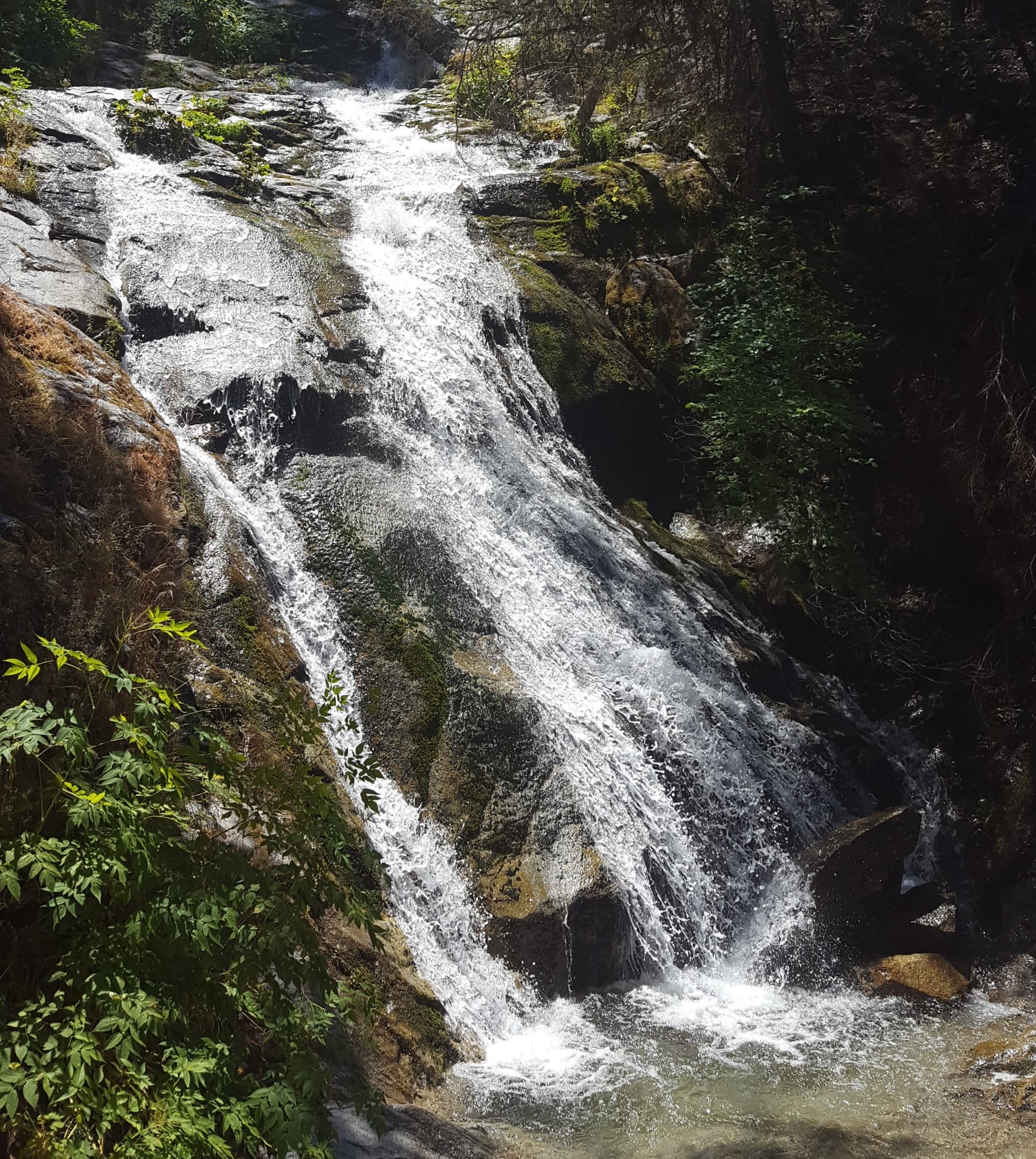 James K. Carr Trail to Whiskeytown Falls