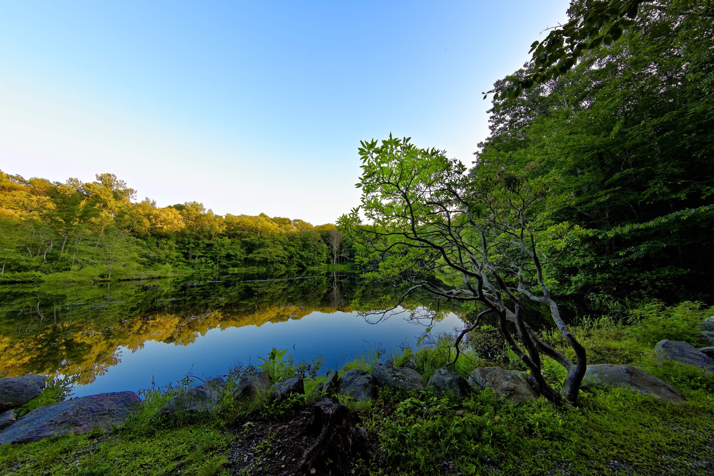 Weir Pond