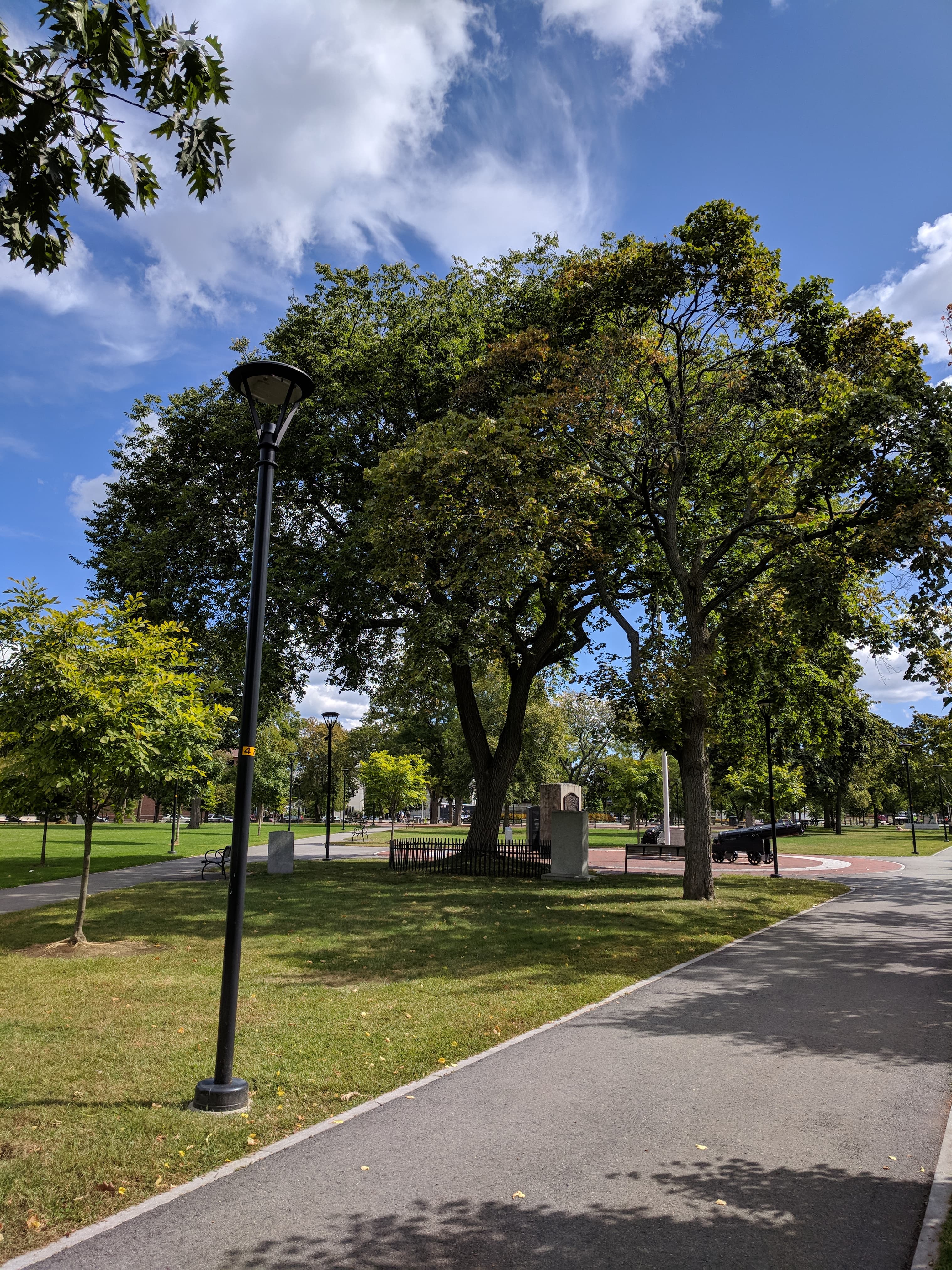 Cambridge Common