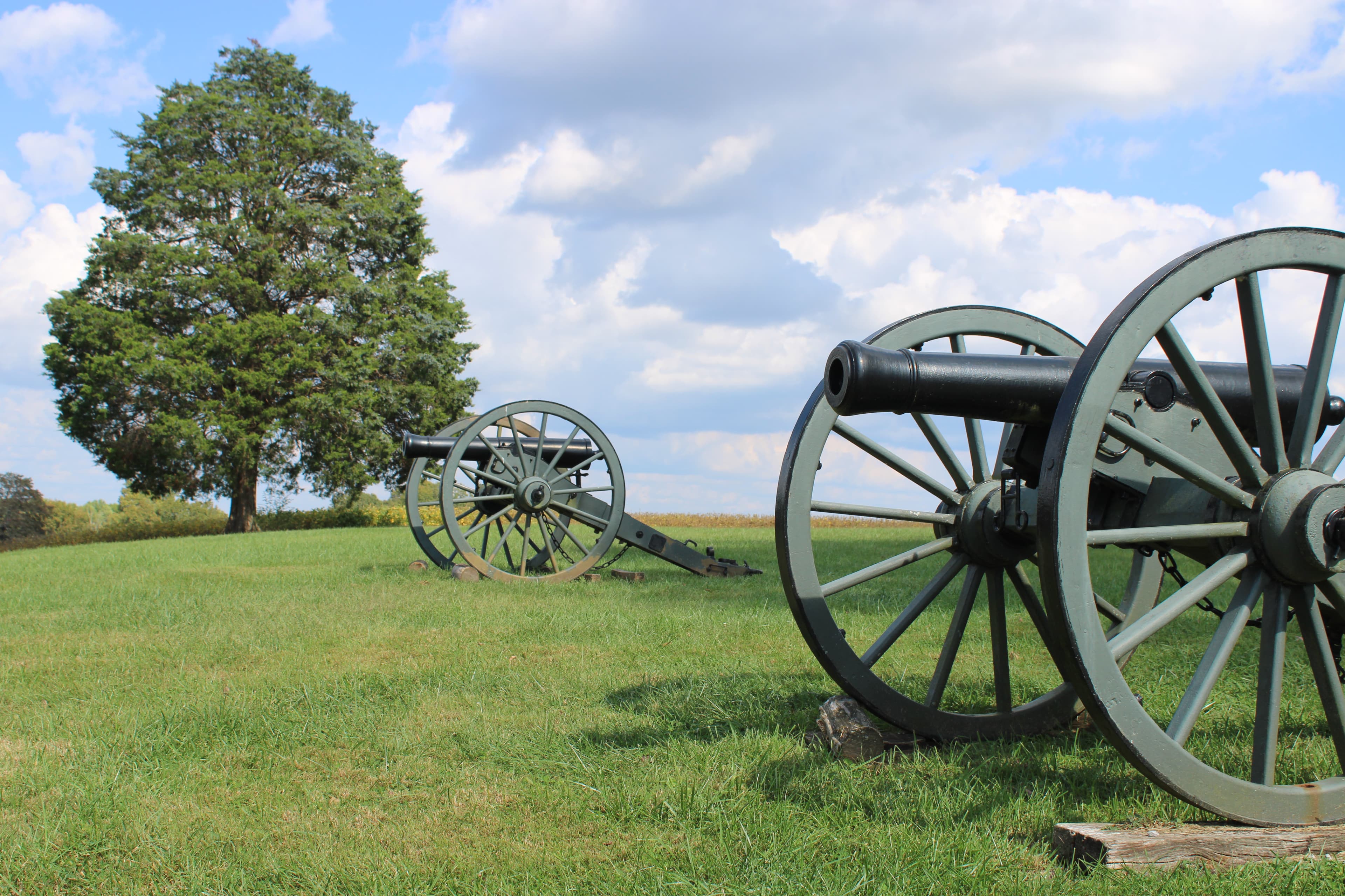 Tour Stop #3: Last Stand Hill