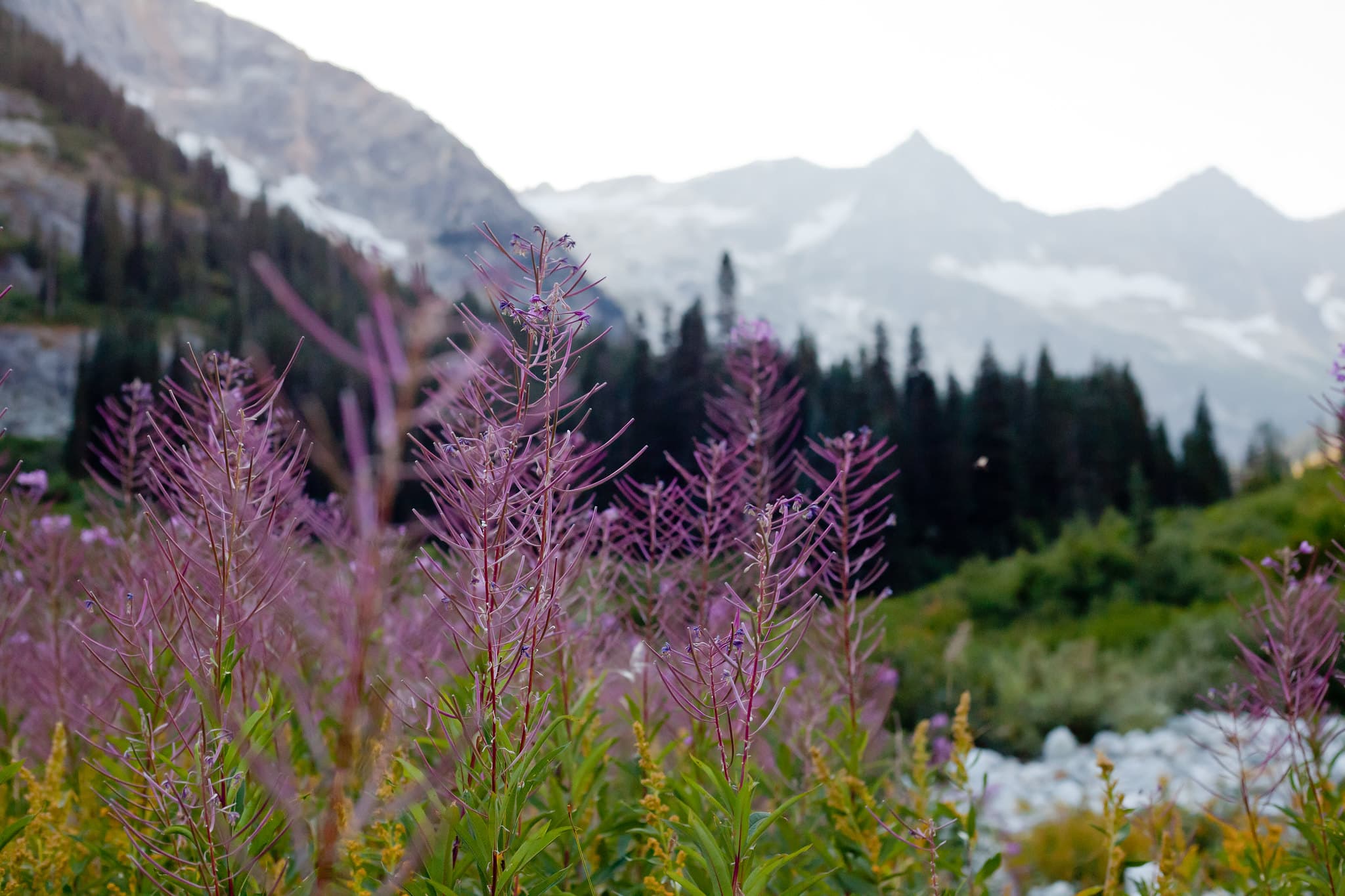 Bridge Creek (Pacific Crest) Trail