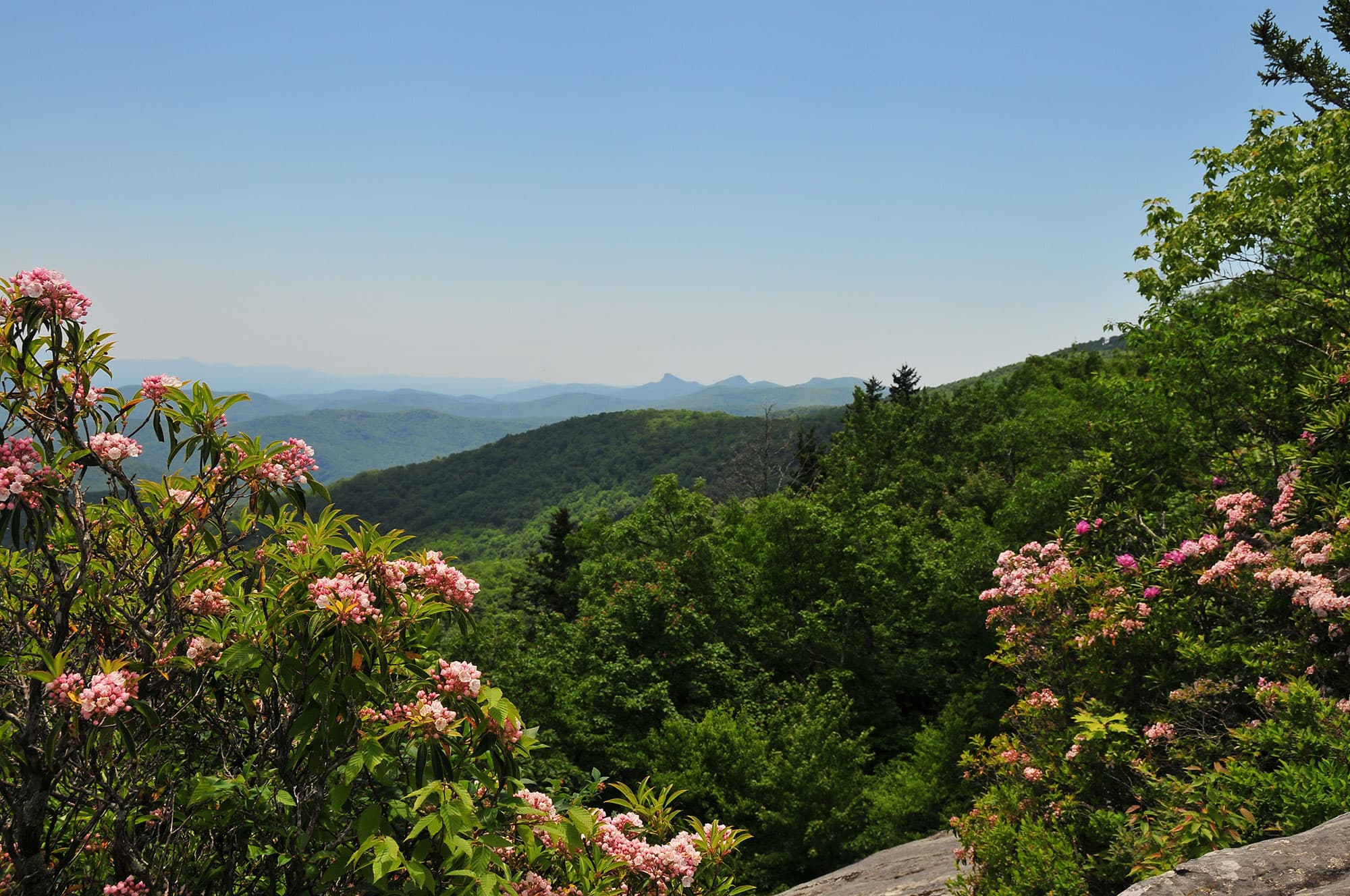 Beacon Heights Trail