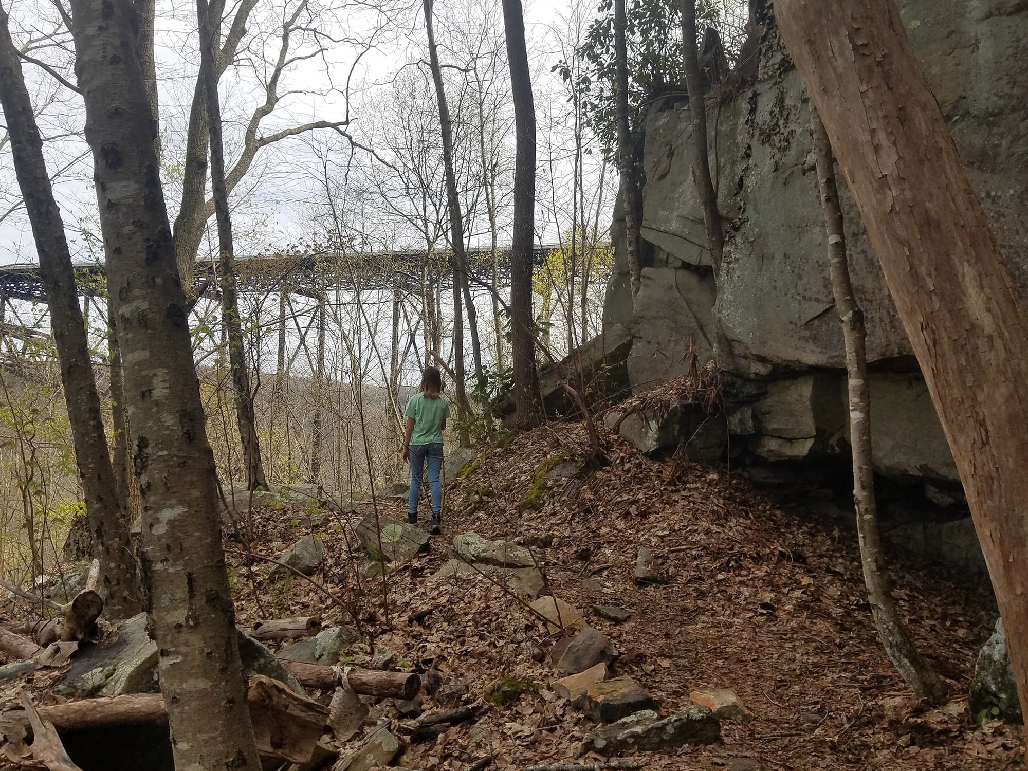Bridge Trail