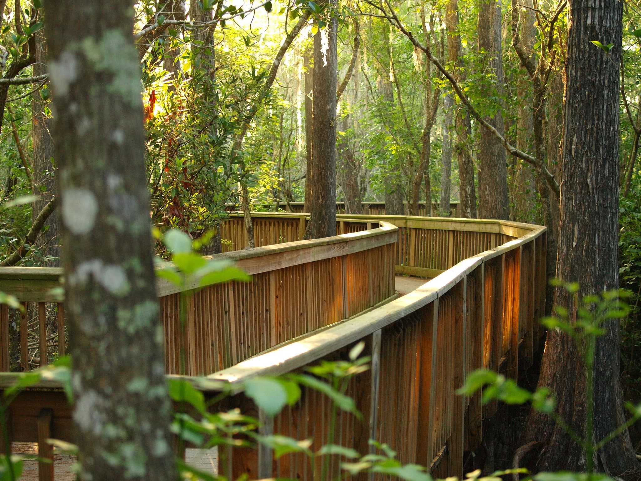 Kirby Storter Roadside Park