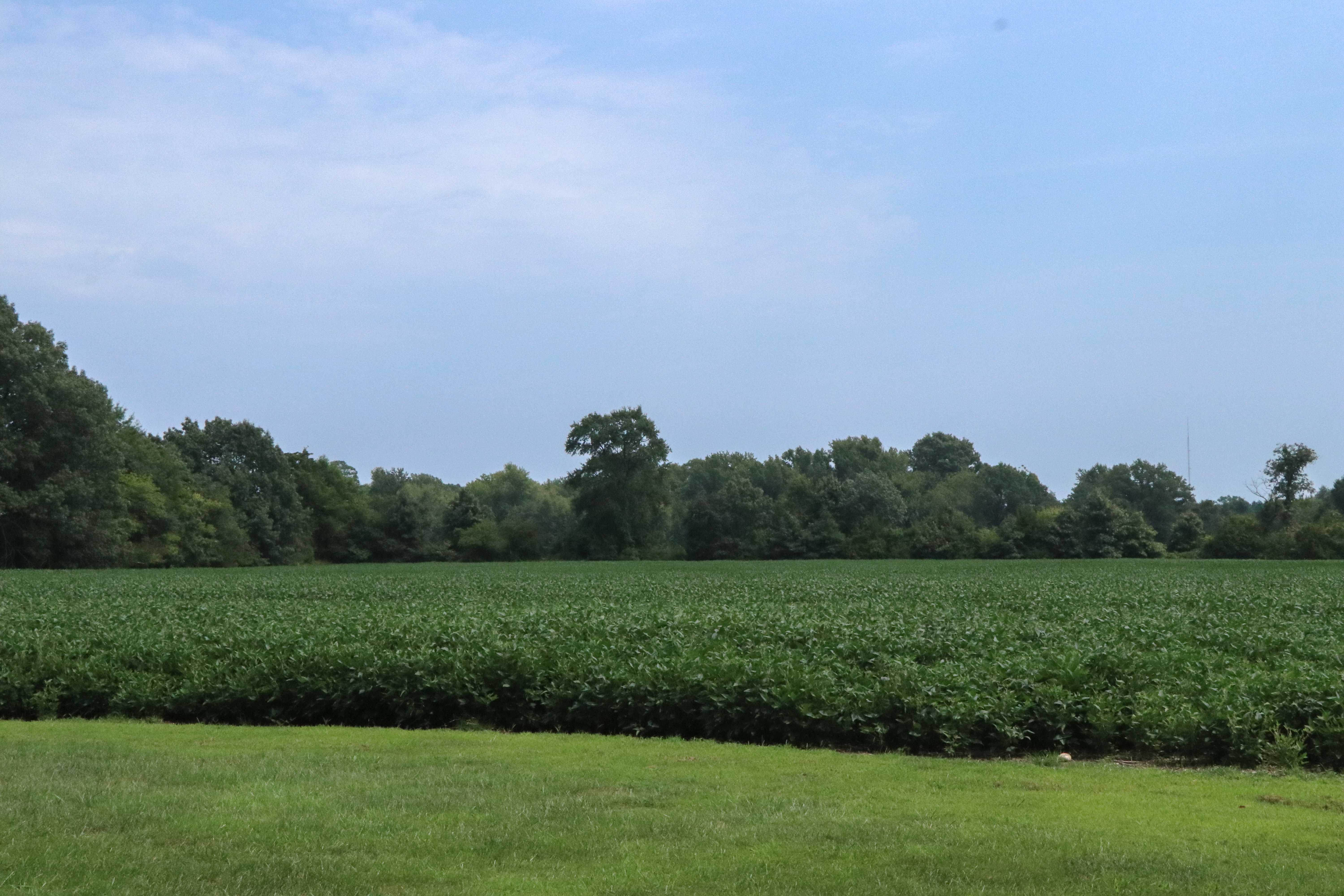 John Washington House Site
