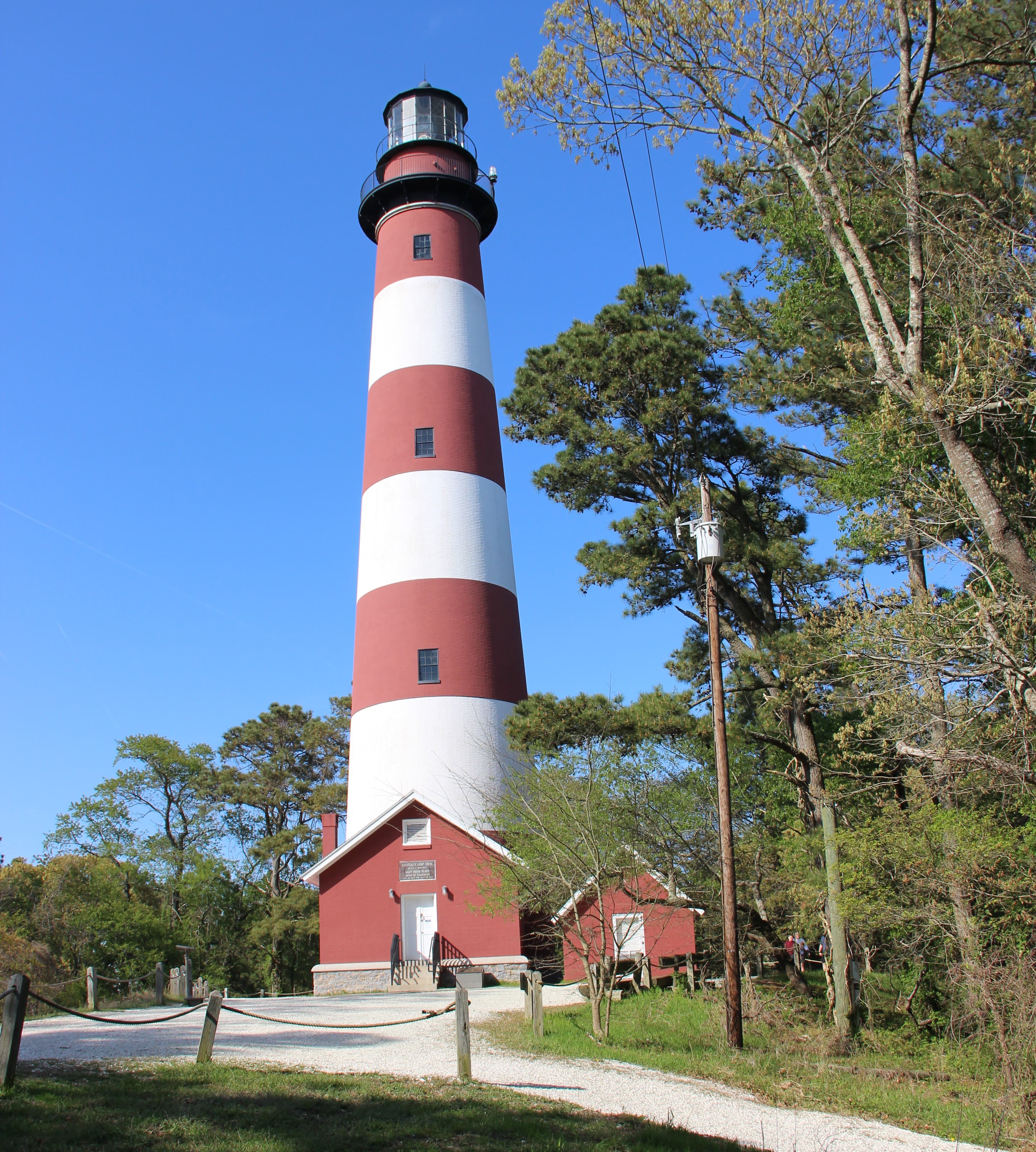 VA - Lighthouse Trail