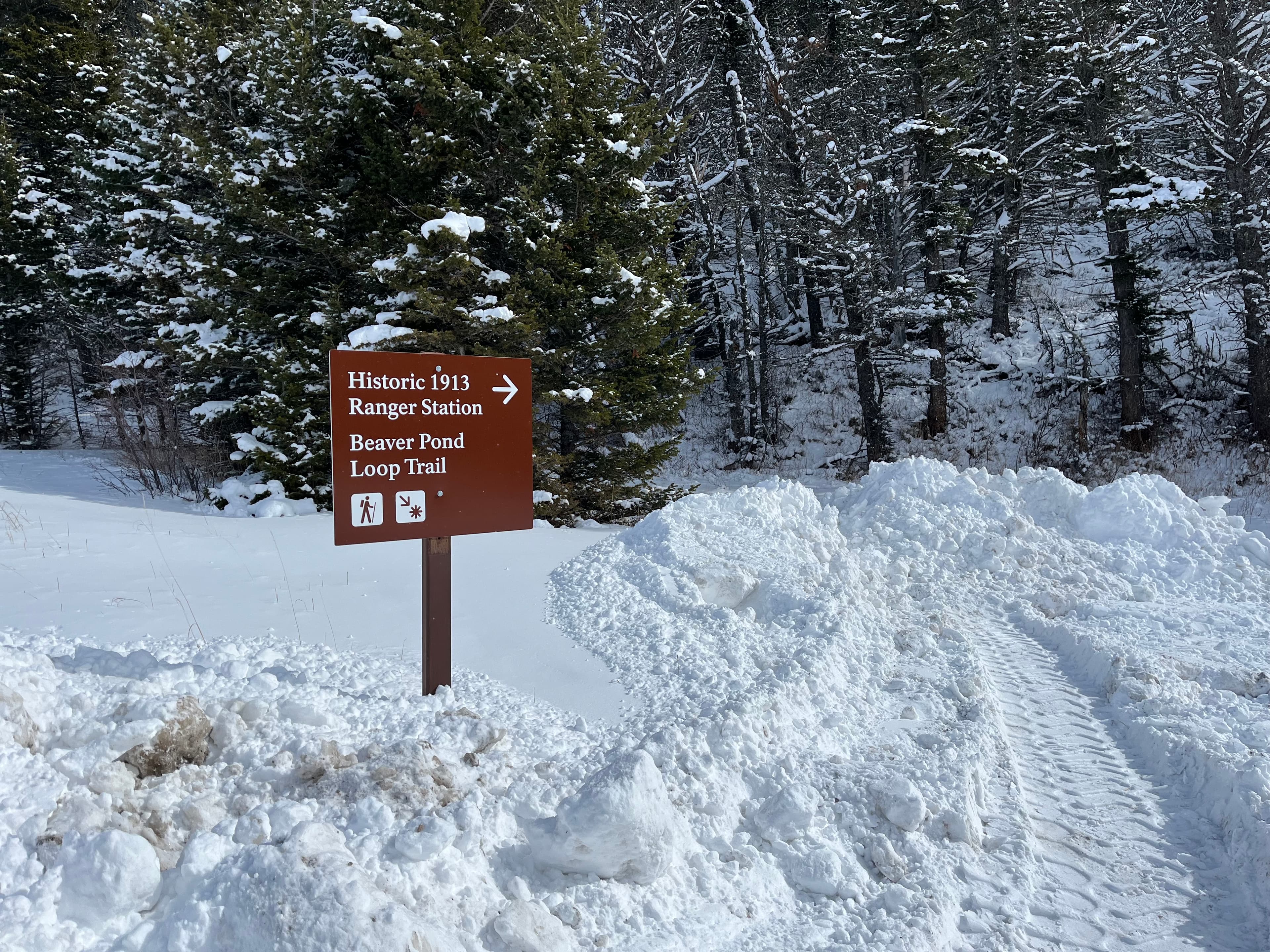 Beaver Pond Loop Trailhead