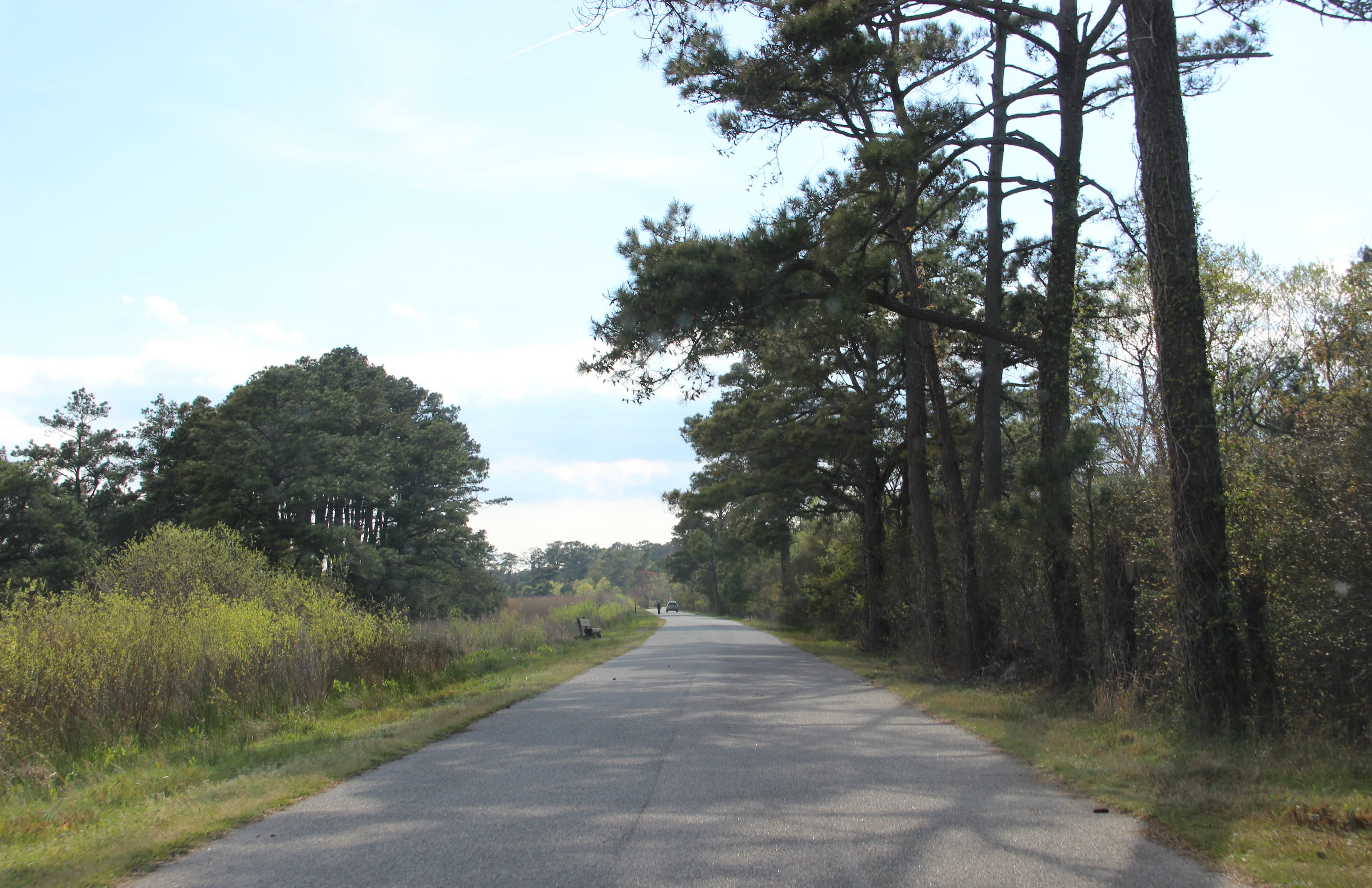 VA - Wildlife Loop