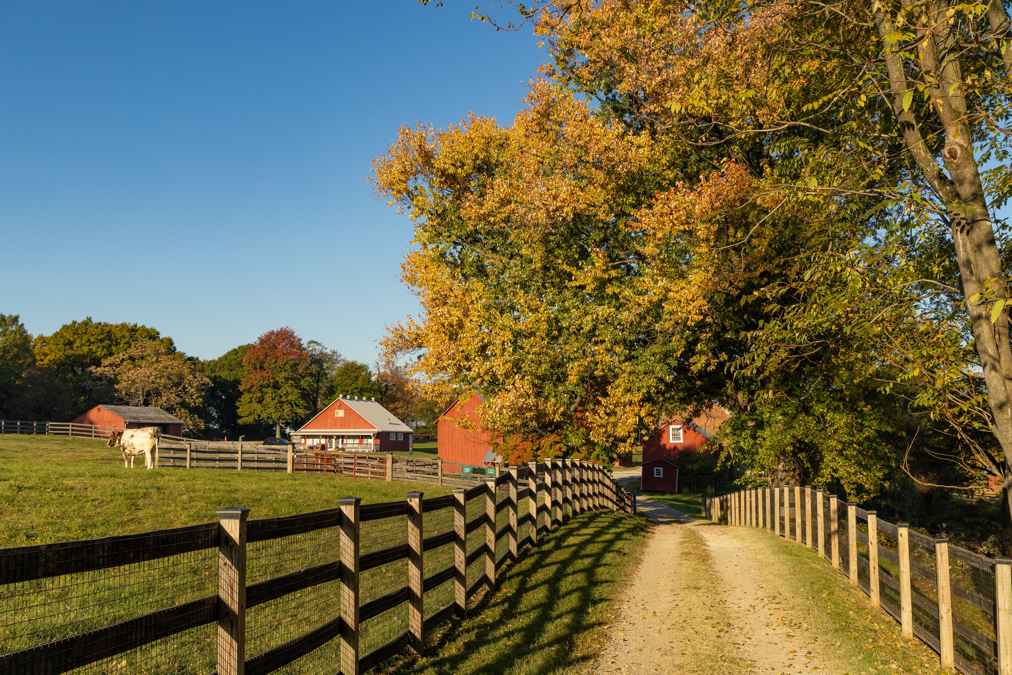 Oxon Hill Farm