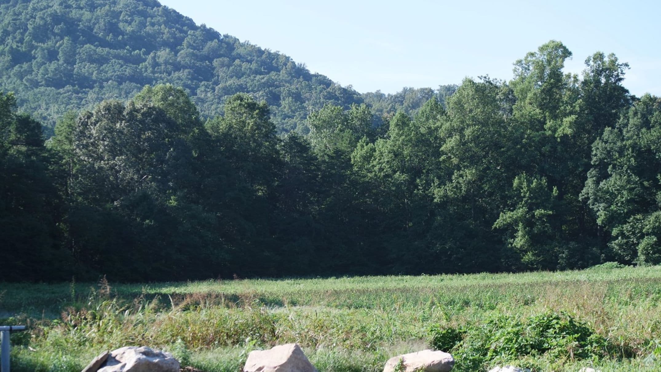 Cane Creek and South Mountain Game Lands