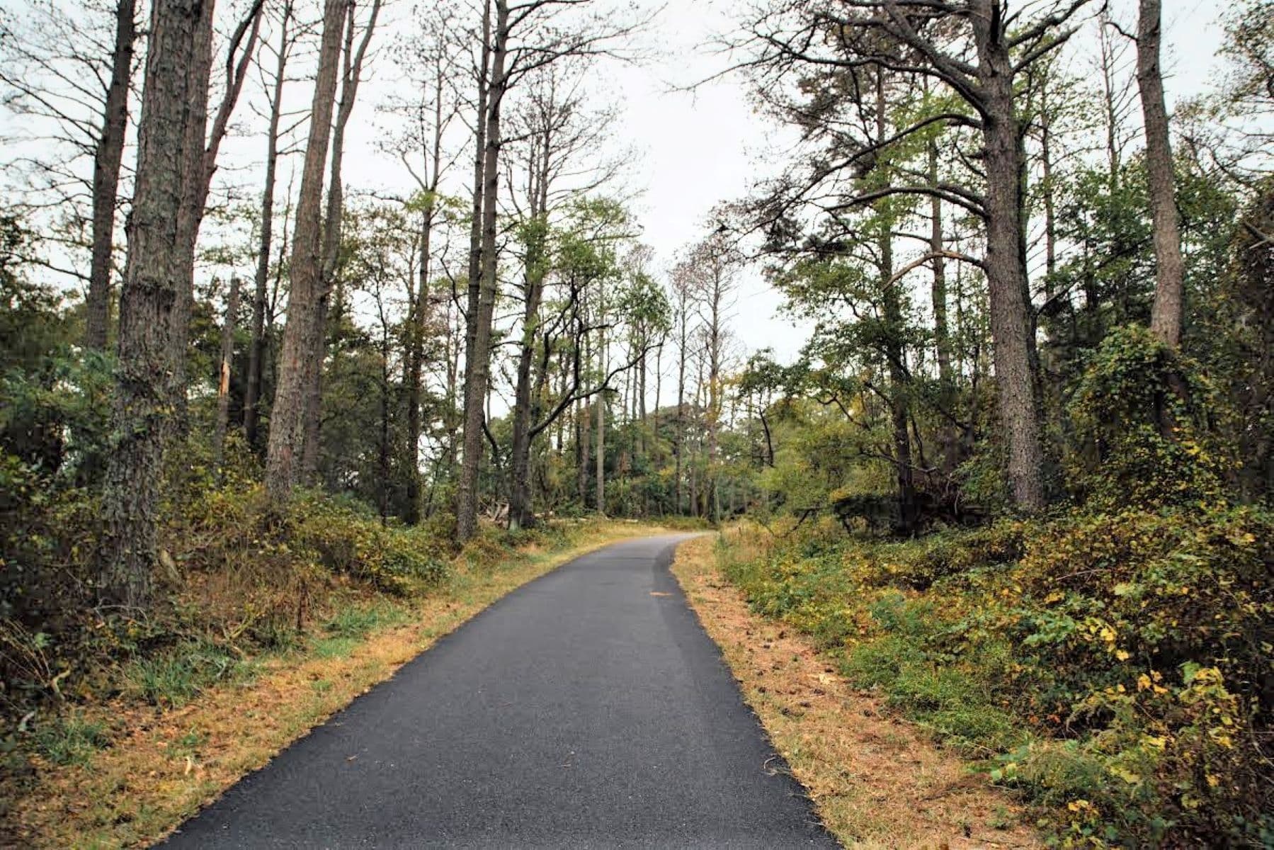 VA - Woodland Trail