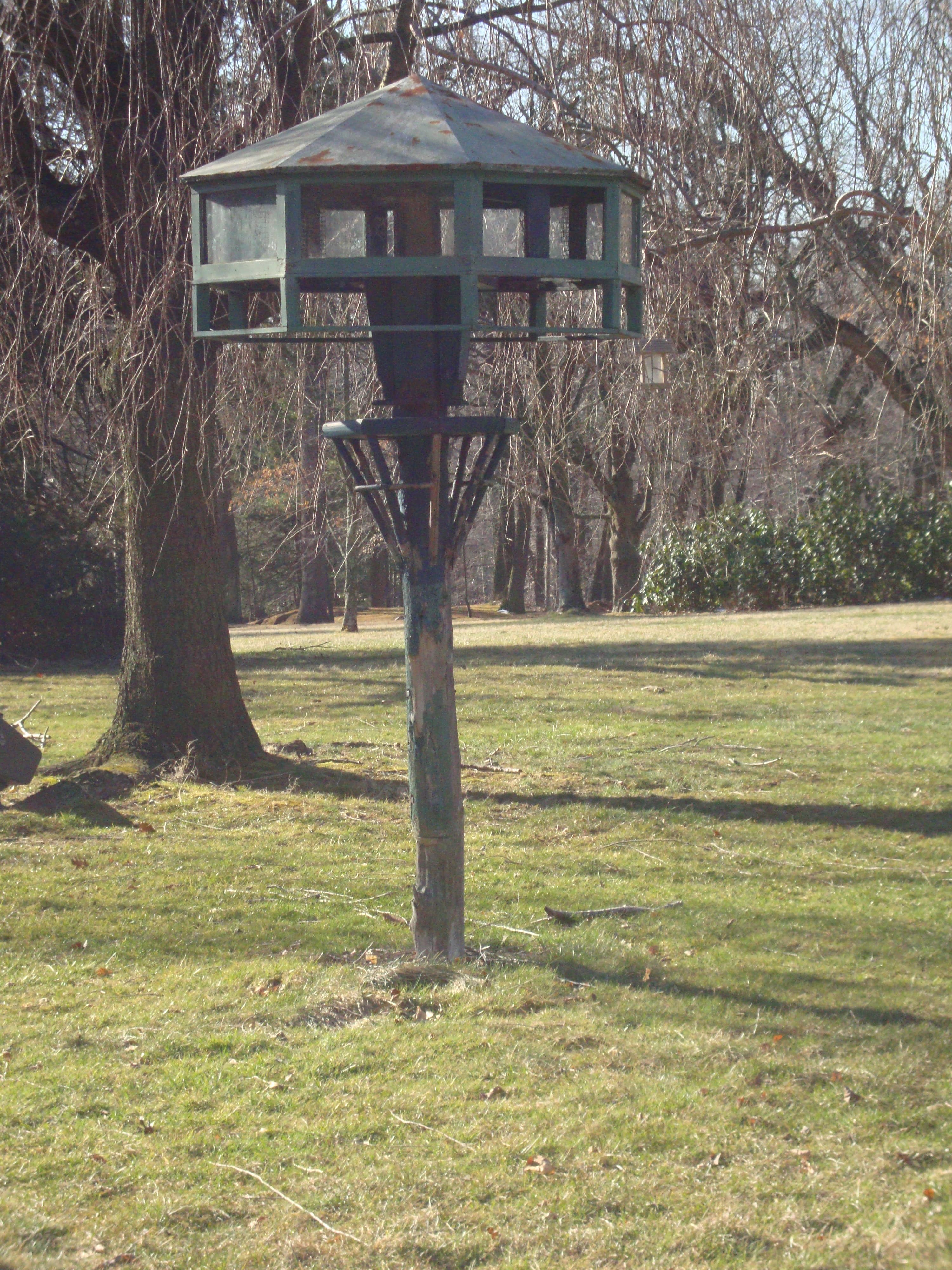 Birding and guests to Thomas Edison's home, Glenmont