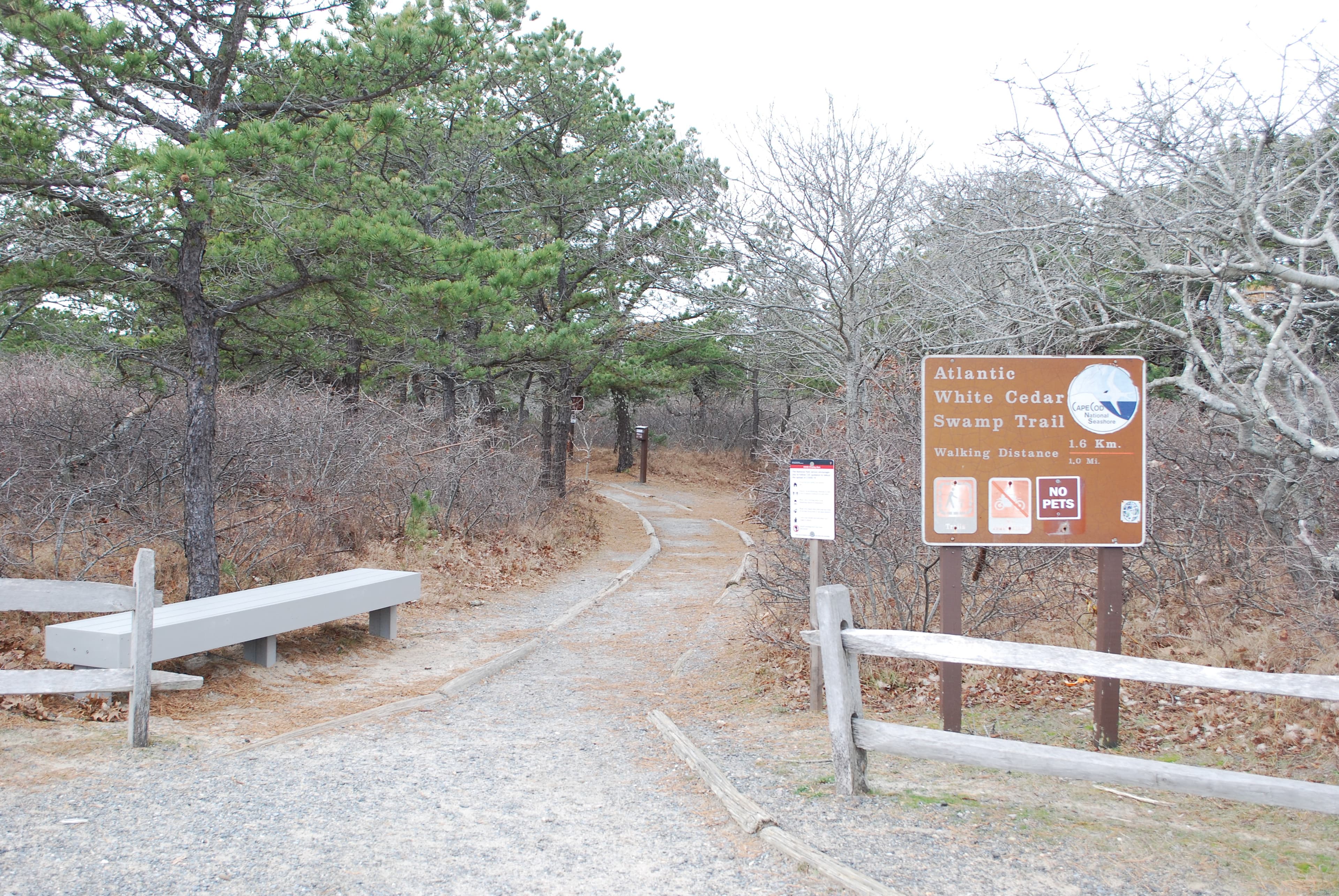 Atlantic White Cedar Swamp Trail