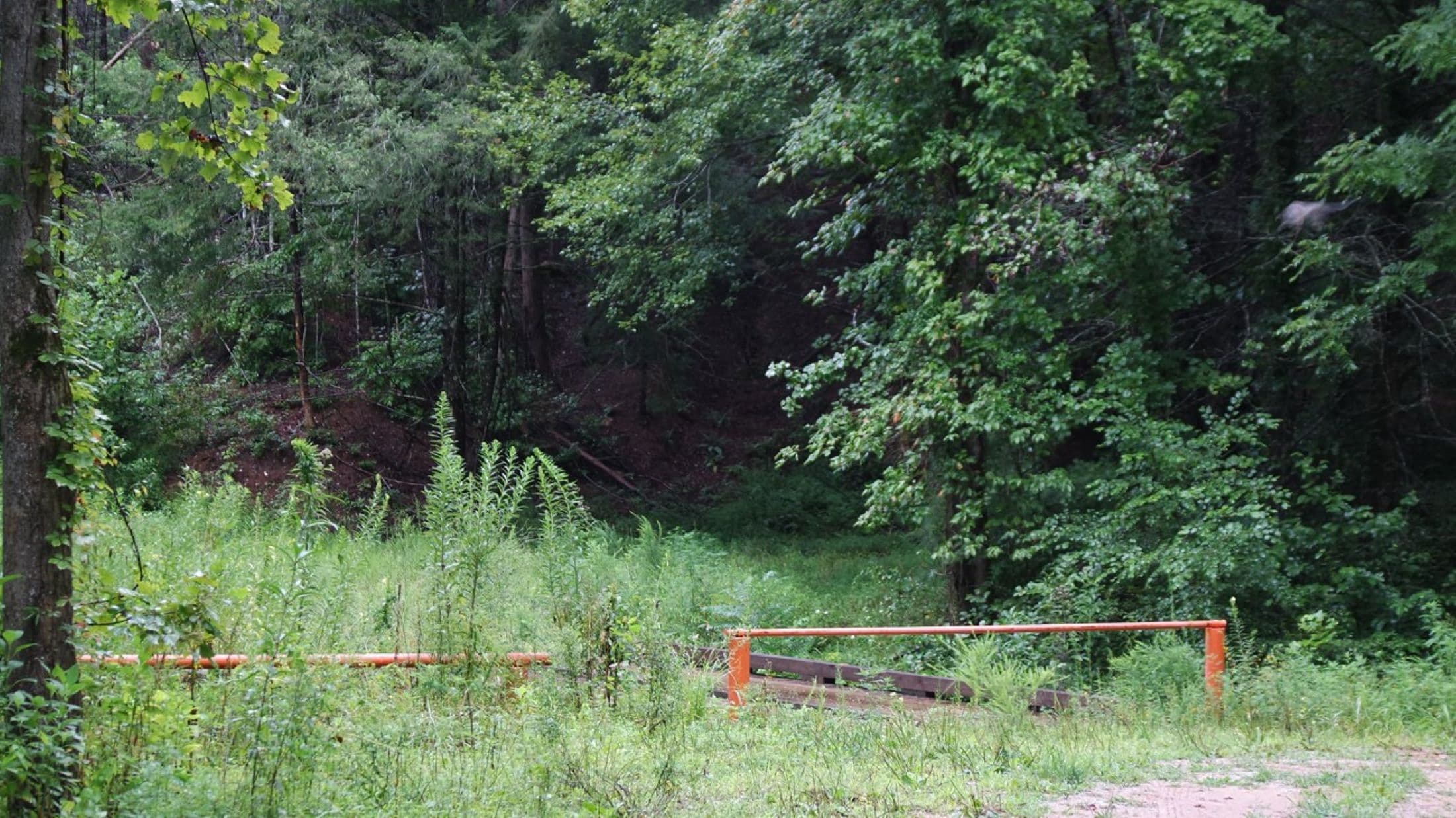 Black Bear Creek of Overmountain Victory NHT