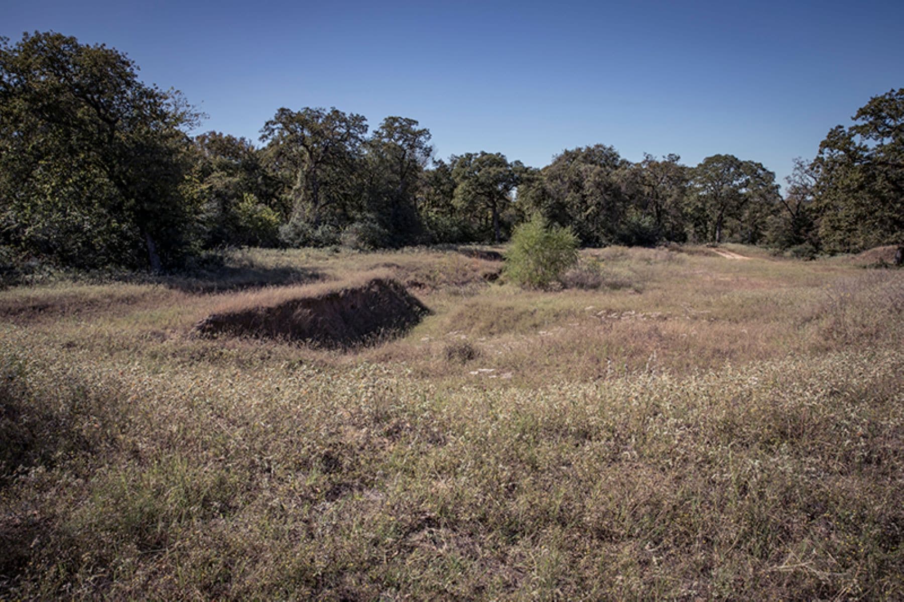 Conner Swale Site - Ranchería Grande