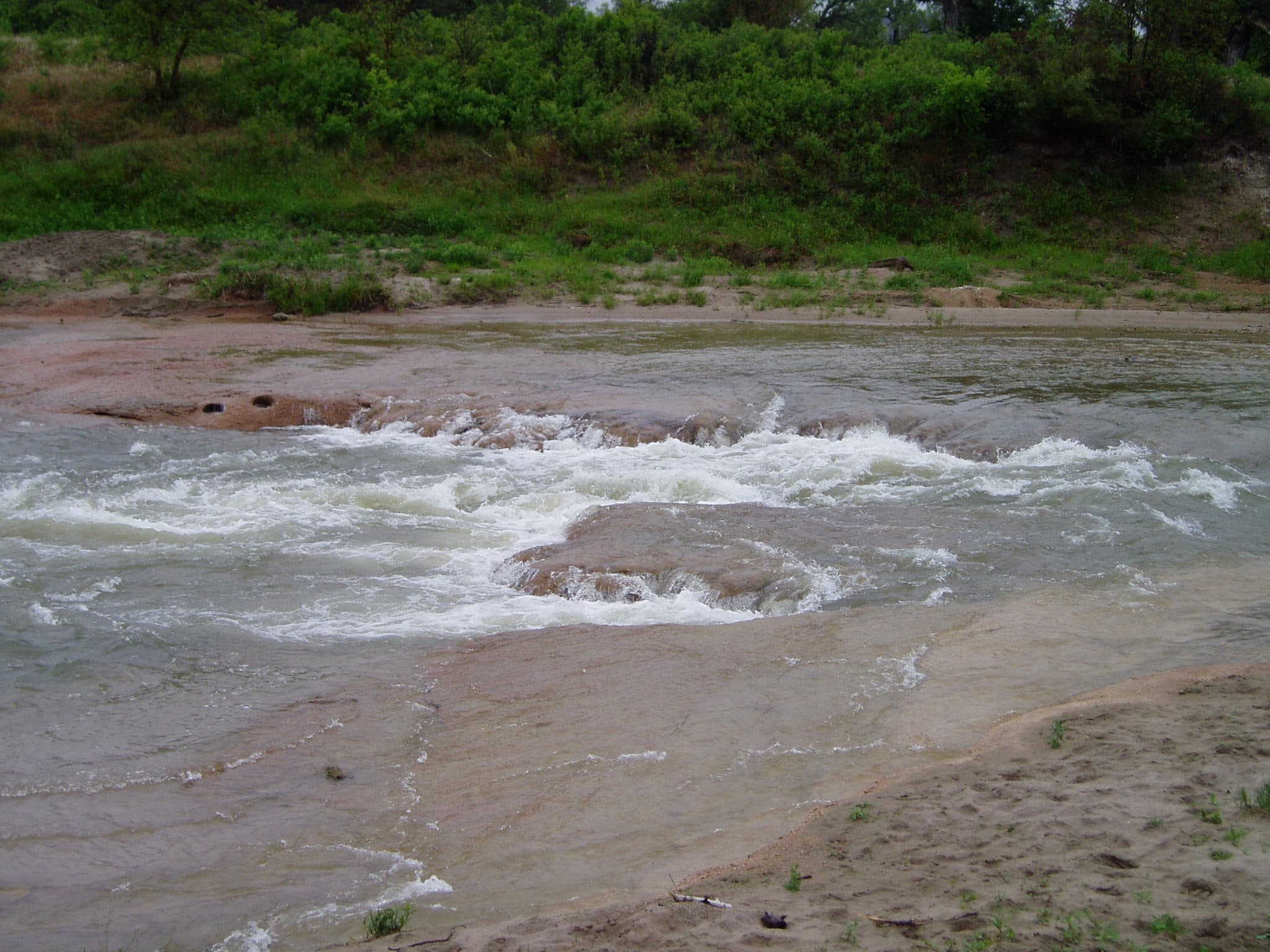 Egelhoff's Rapid