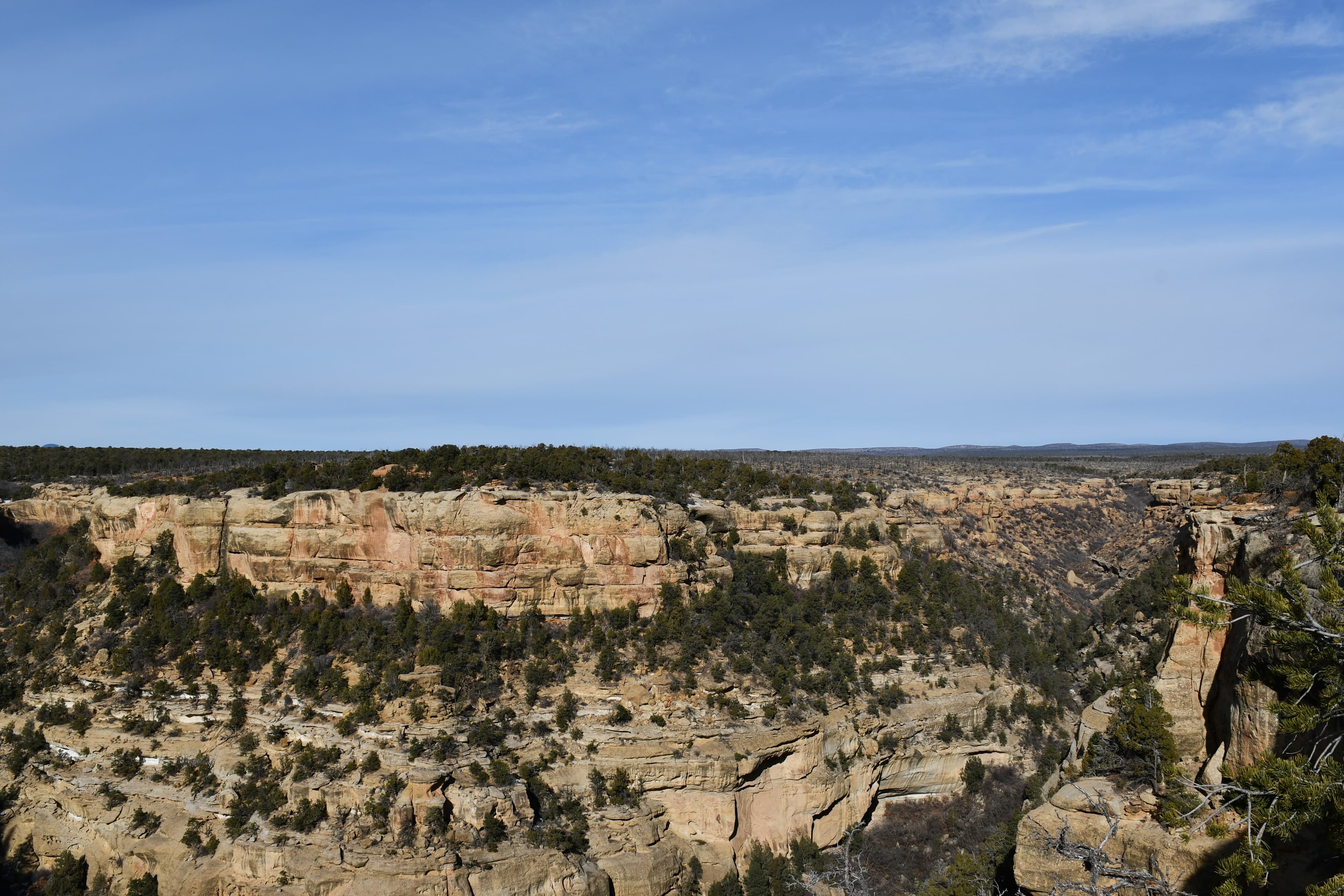 Cliff Canyon Overlook