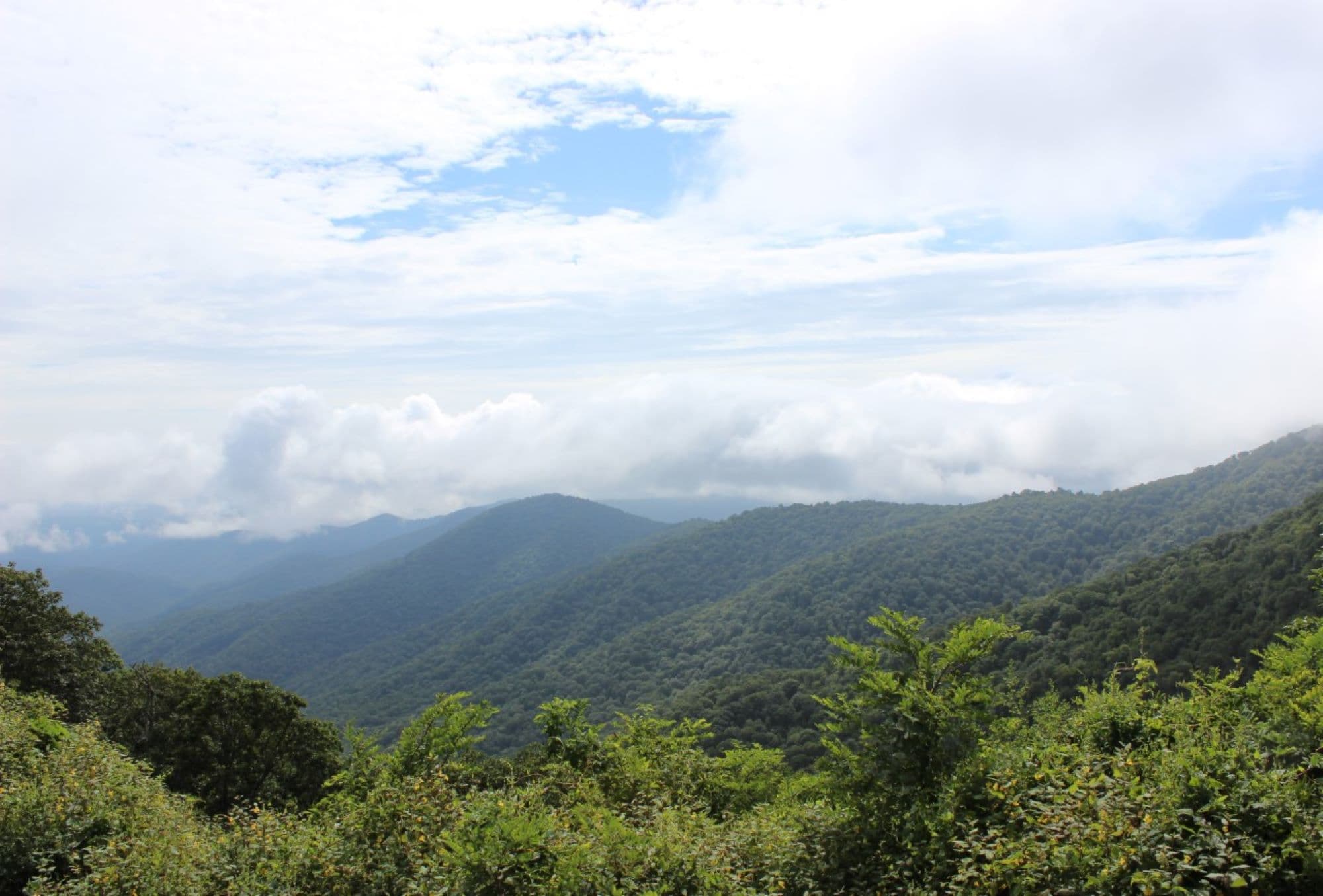 Buck Spring Gap Overlook