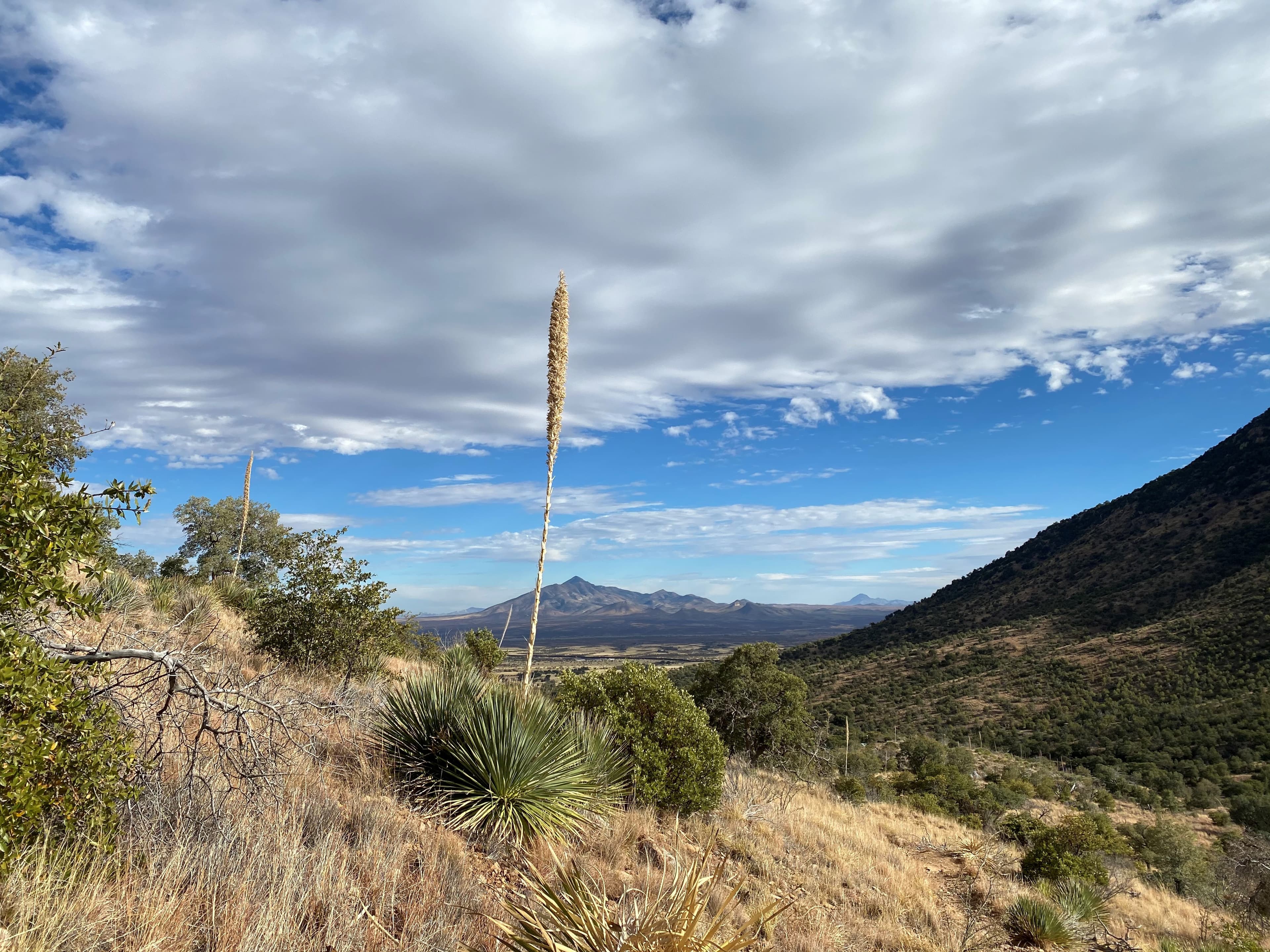 Coronado Cave Trail