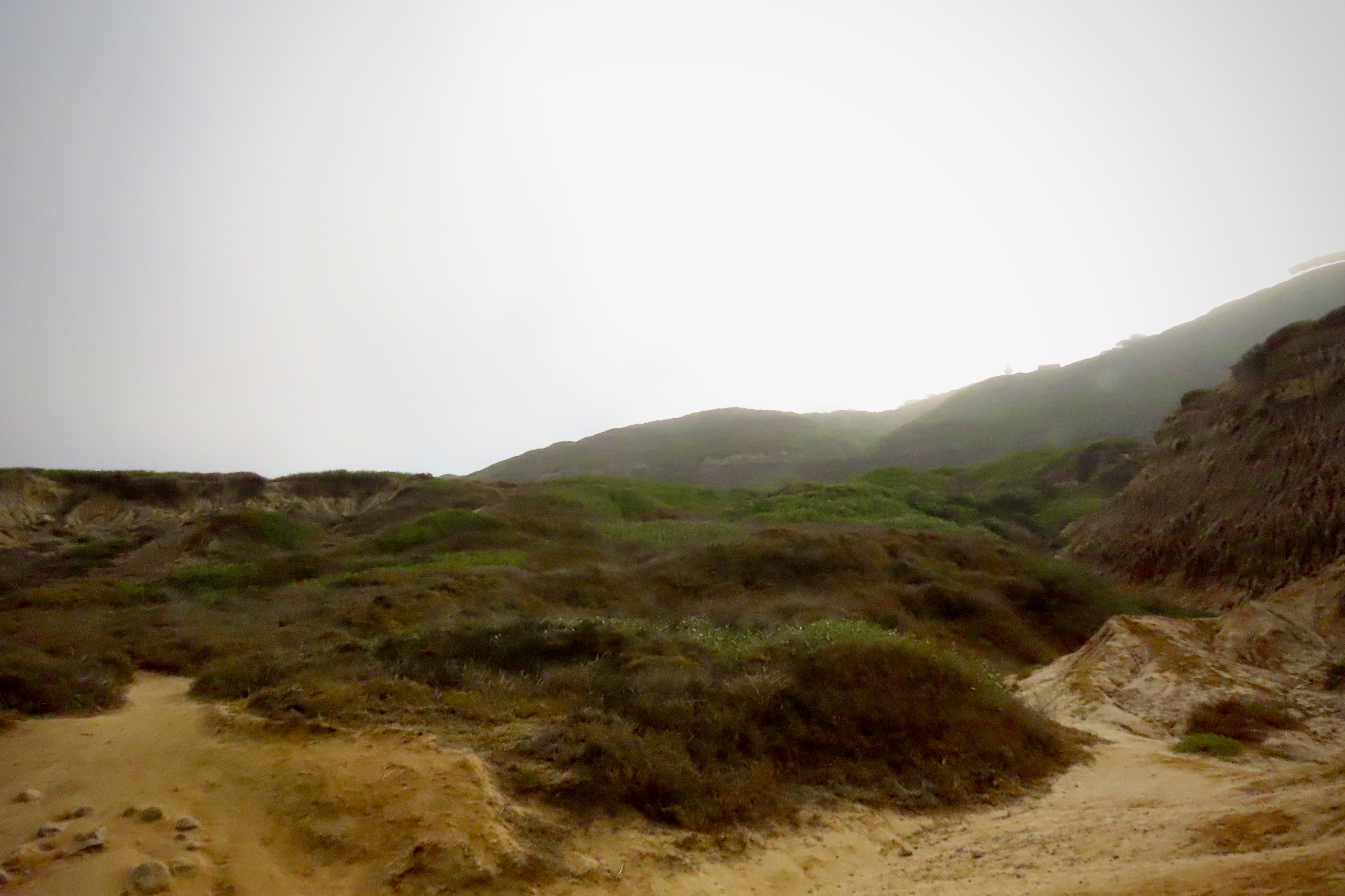 Chaparral View Between Coastal Trail Staircases