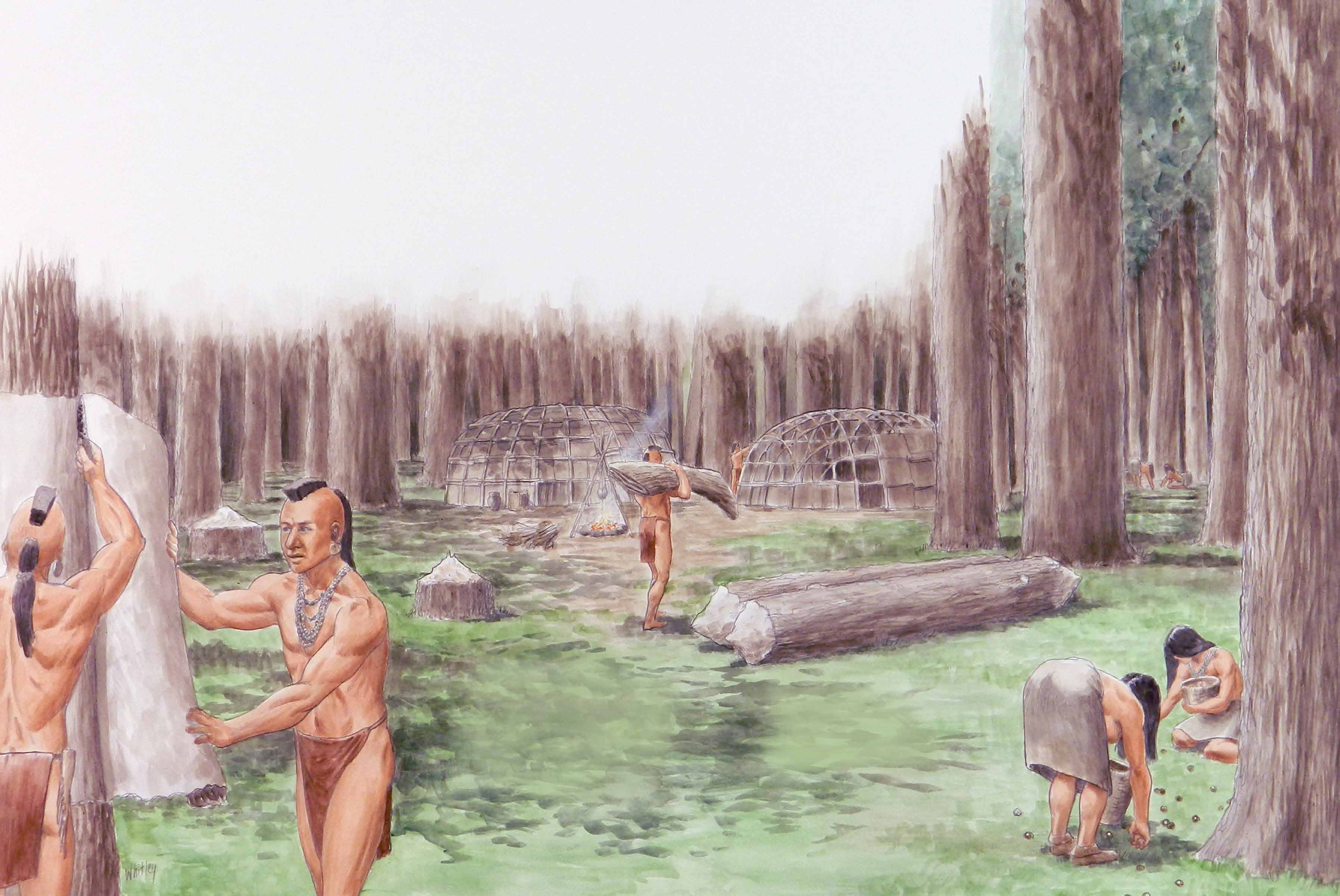 Eastern Woodland Habitat