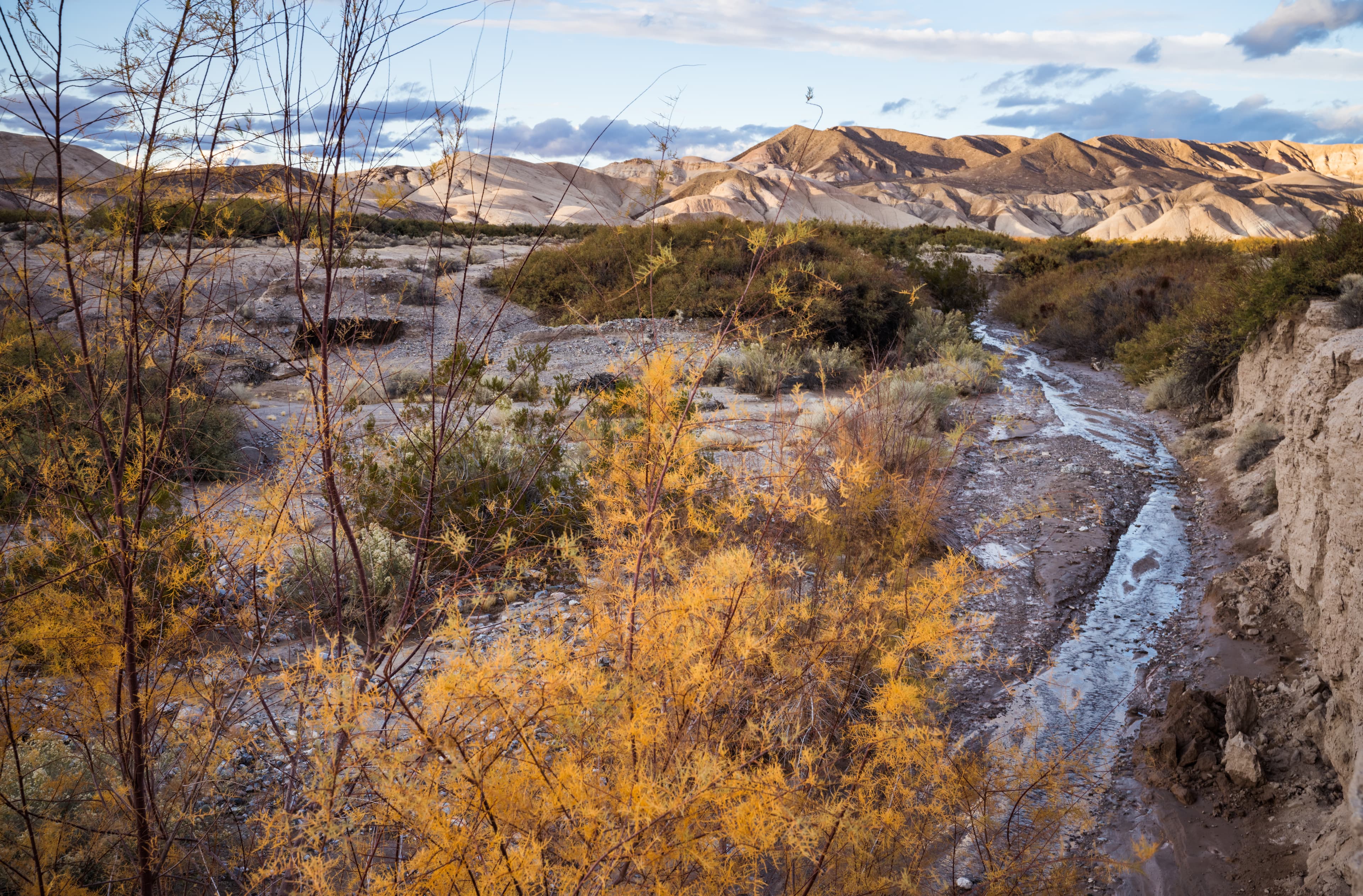 Amargosa Canyon
