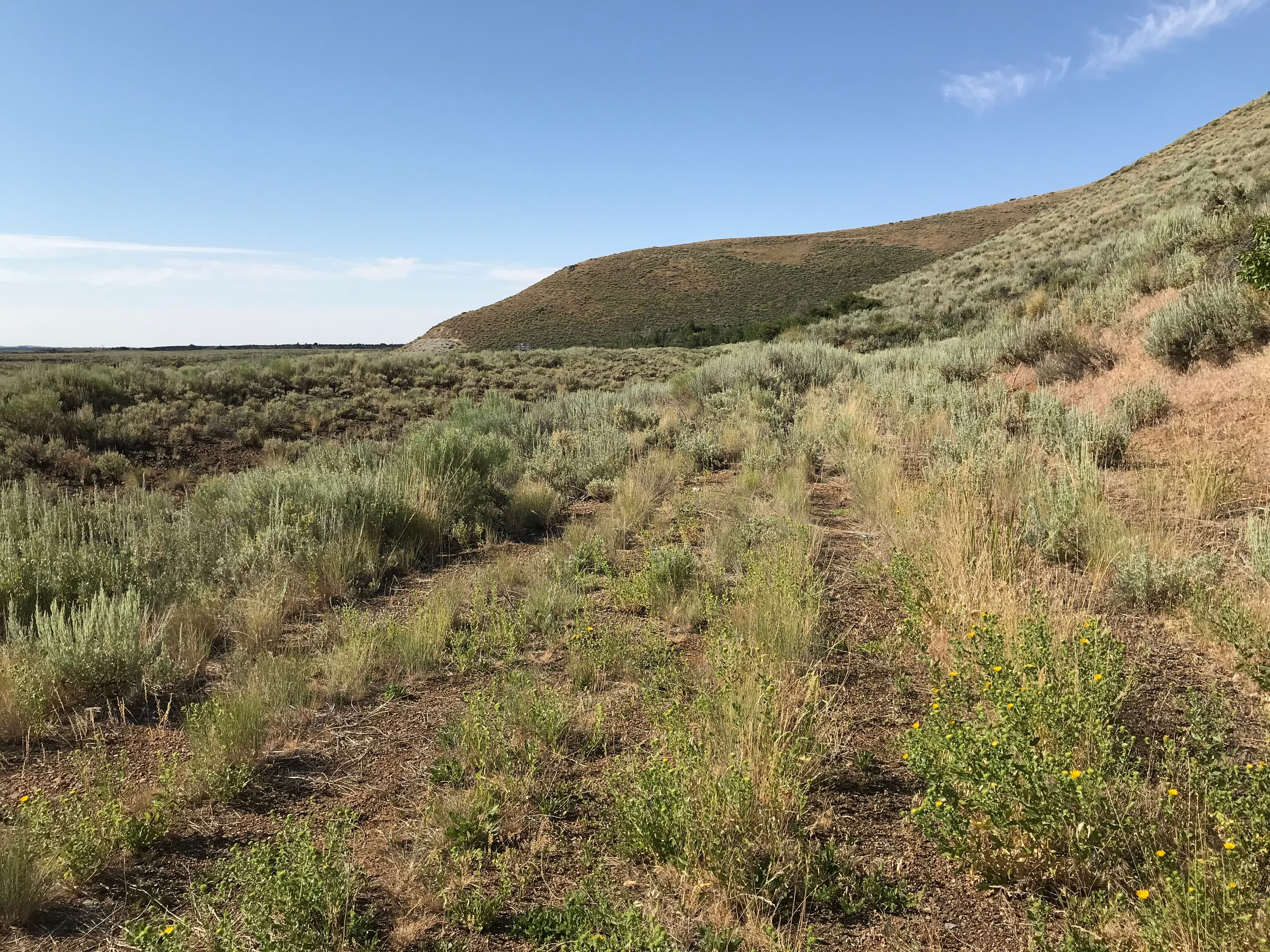 Craters of the Moon, the Oregon Trail