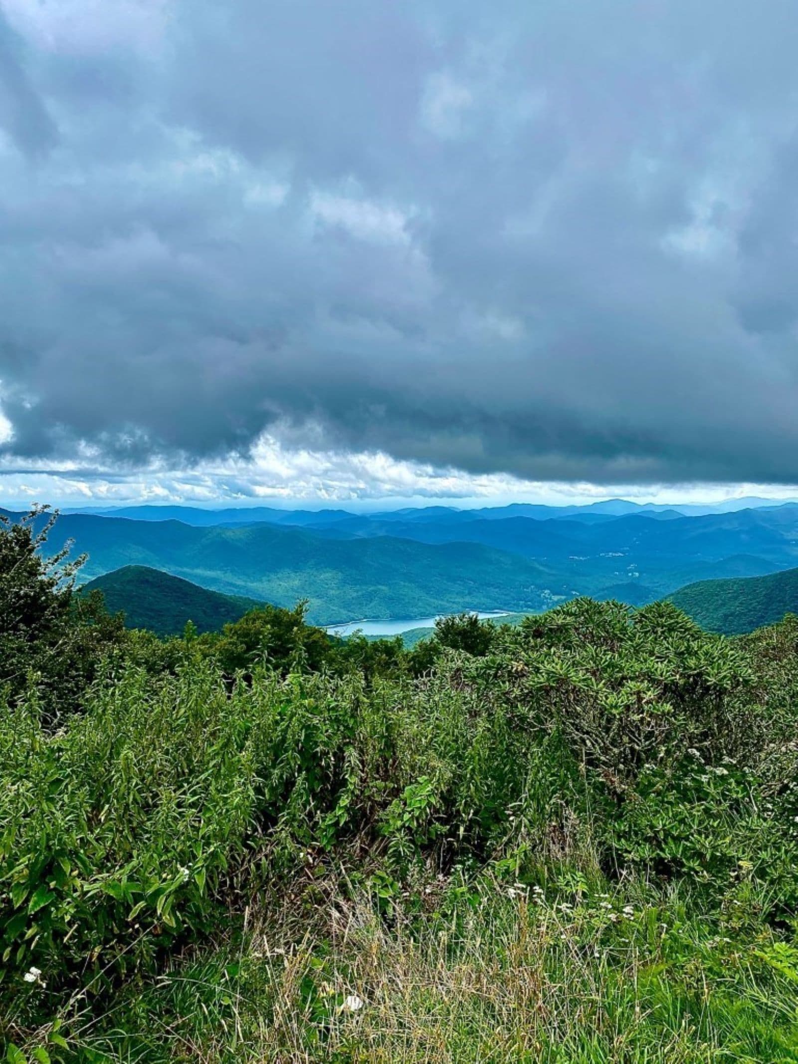 Asheville Watershed