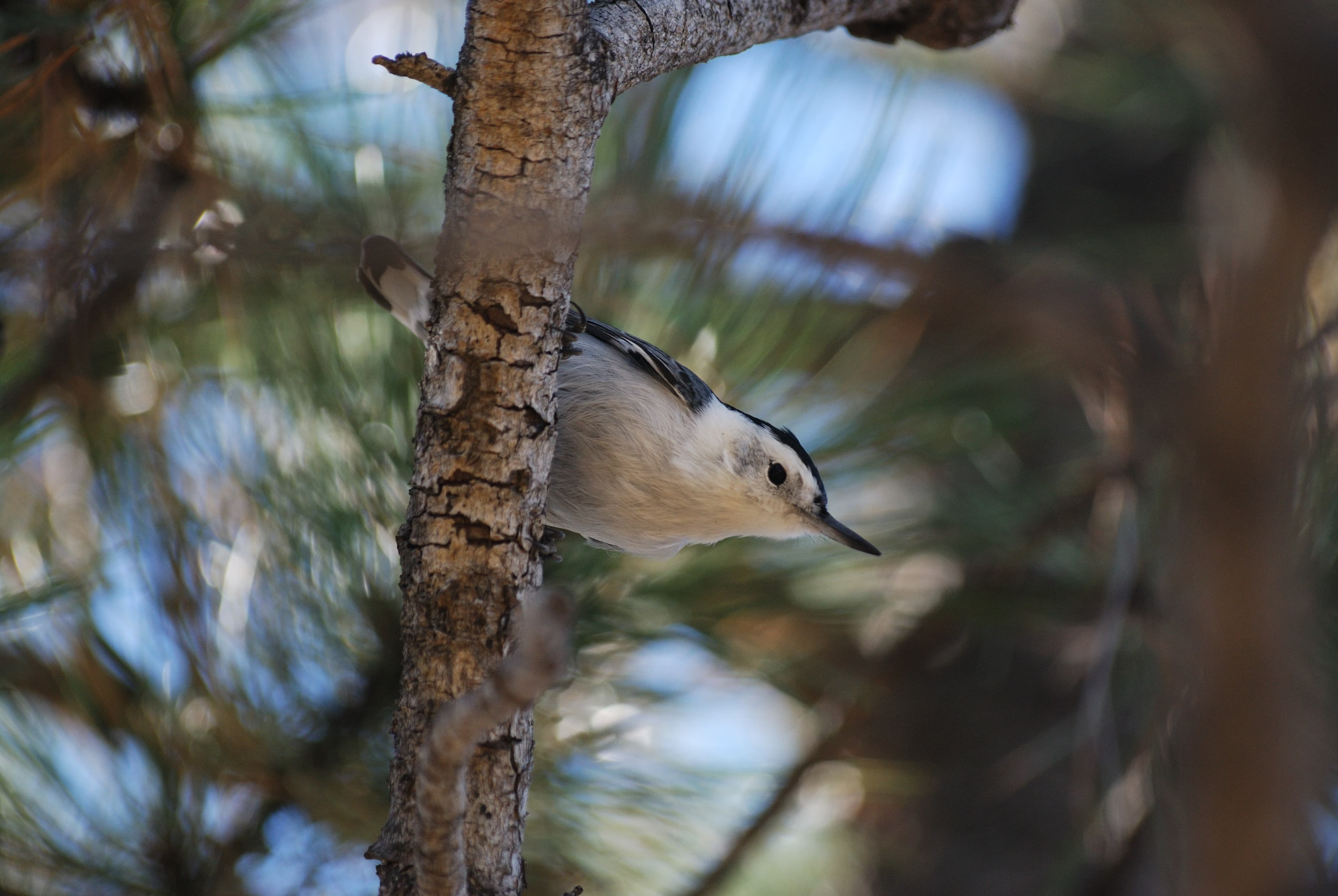 Birding By Car Stop 2