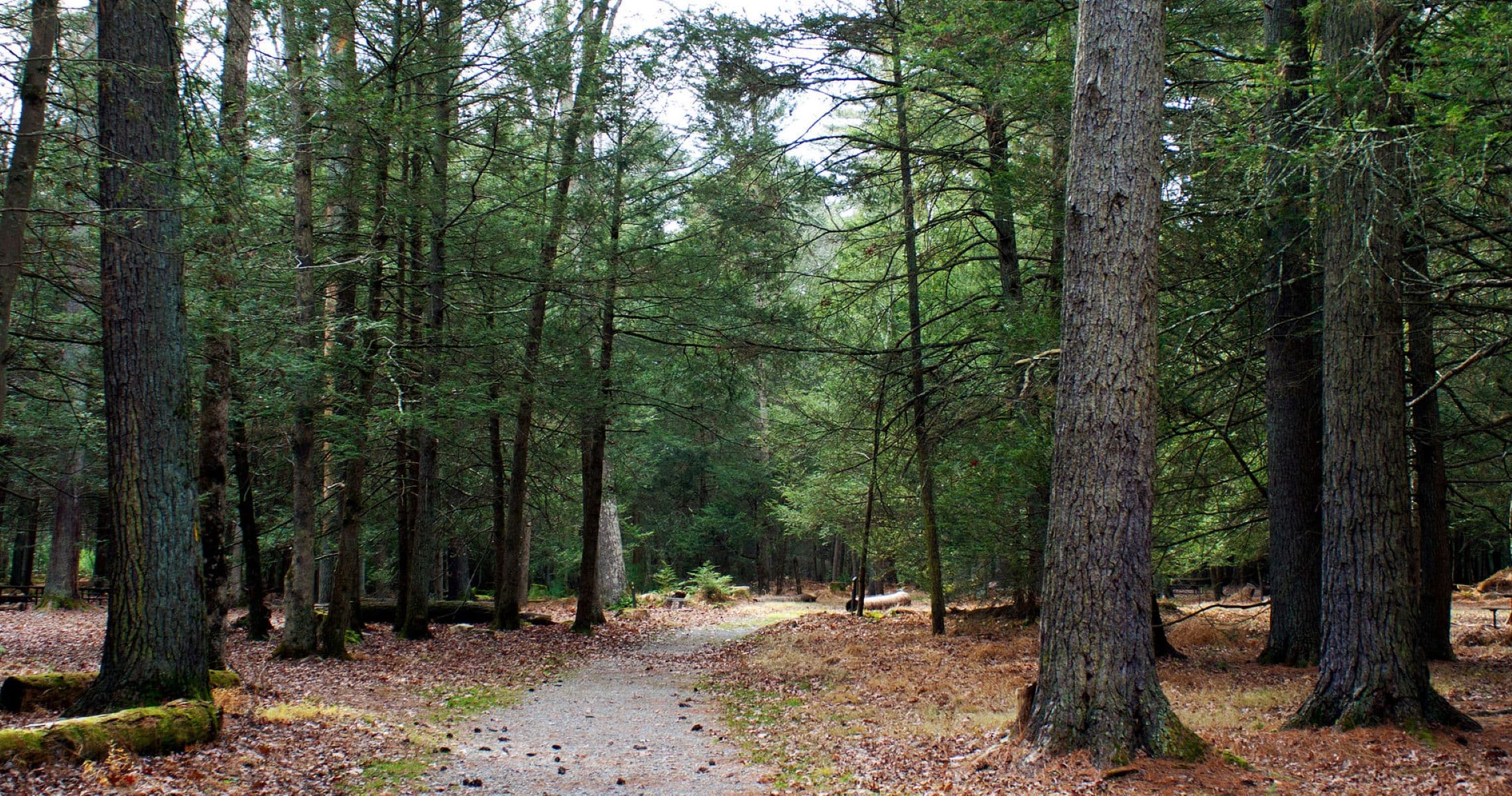 Caledon State Park