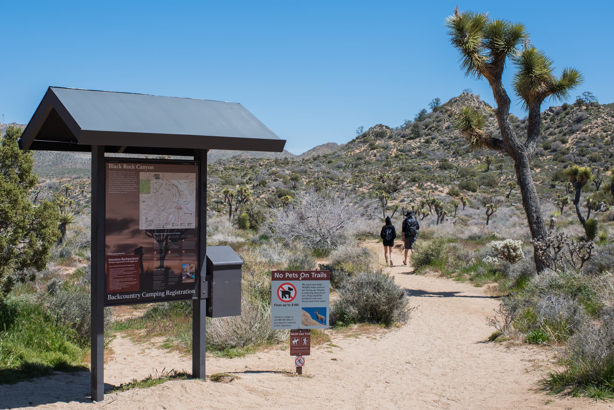 Burnt Hill Trailhead