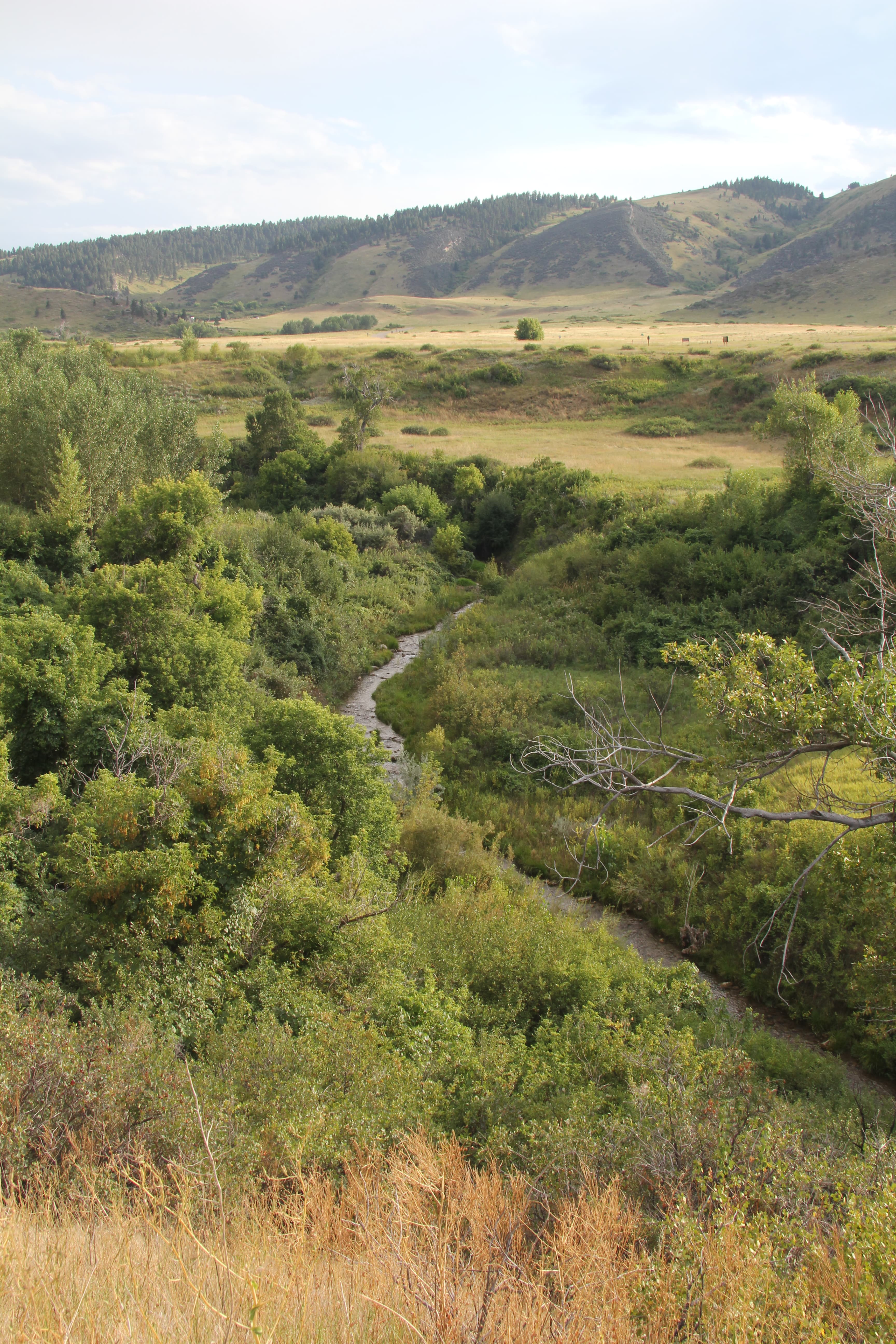 Beaver Pond Nature Trail