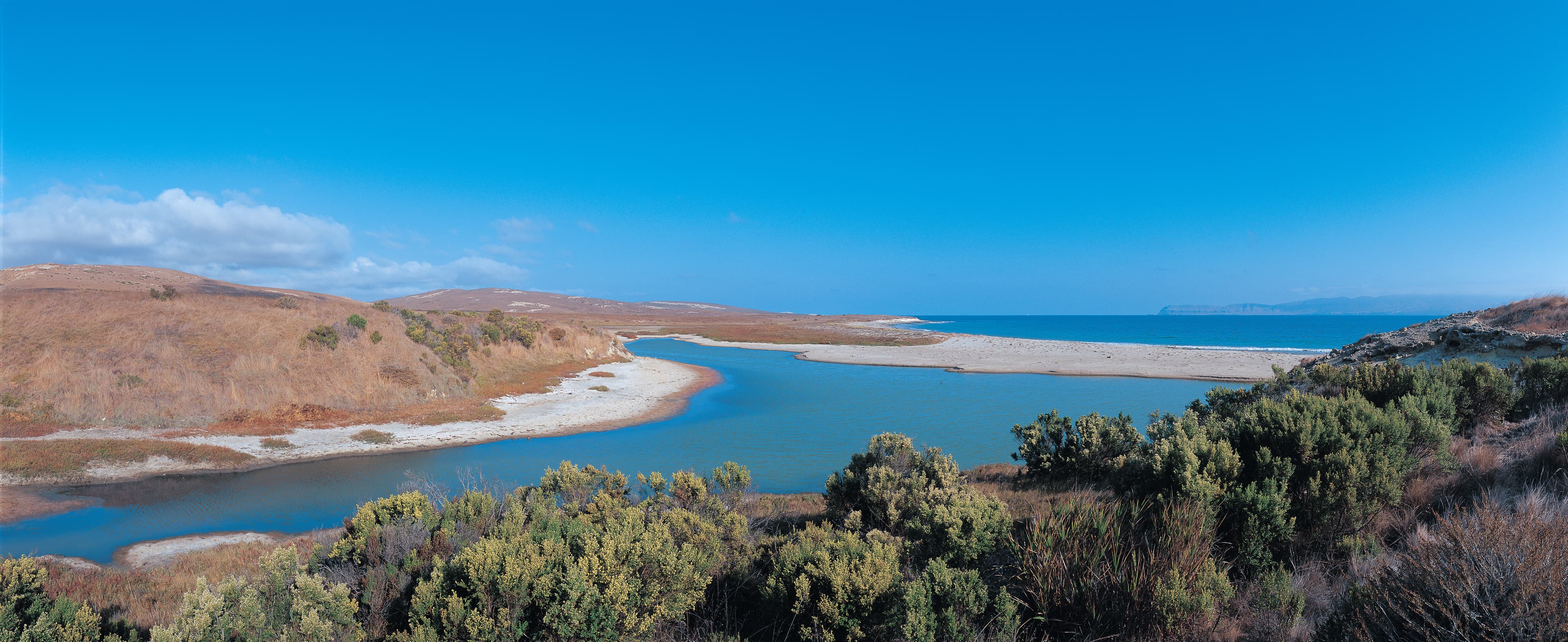 Abalone Rocks Marsh