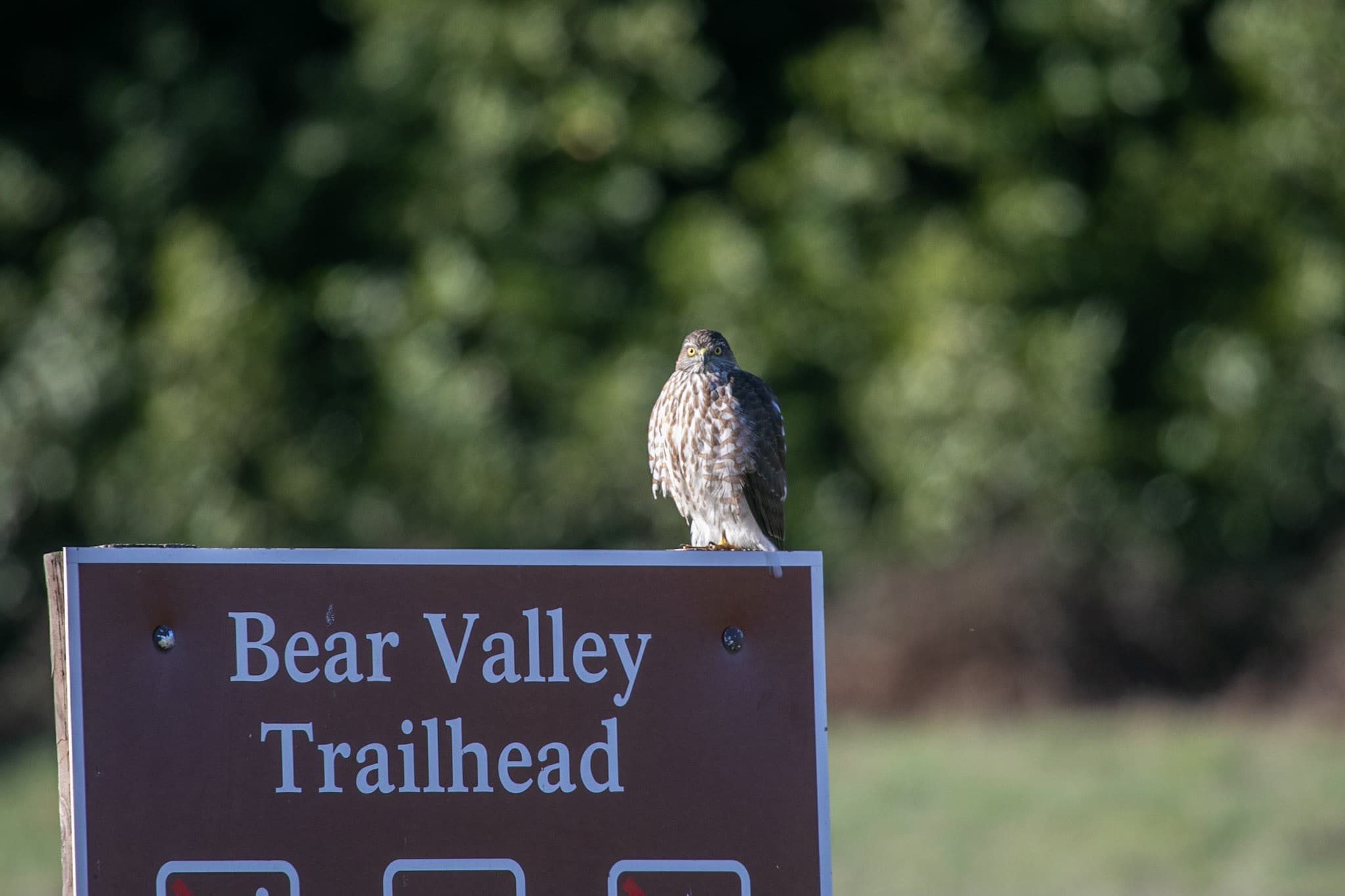 Bear Valley Trailhead