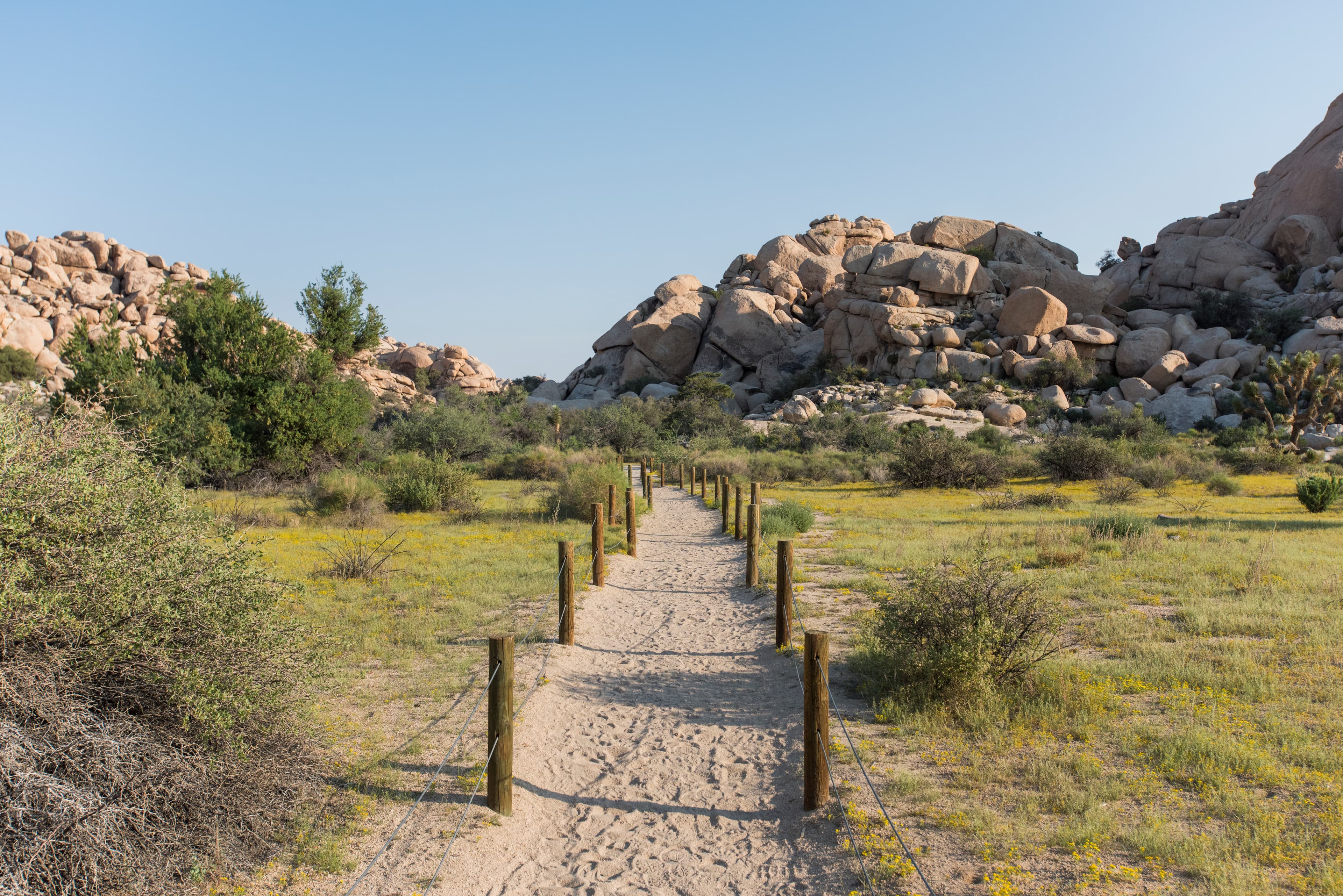 Barker Dam Trailhead