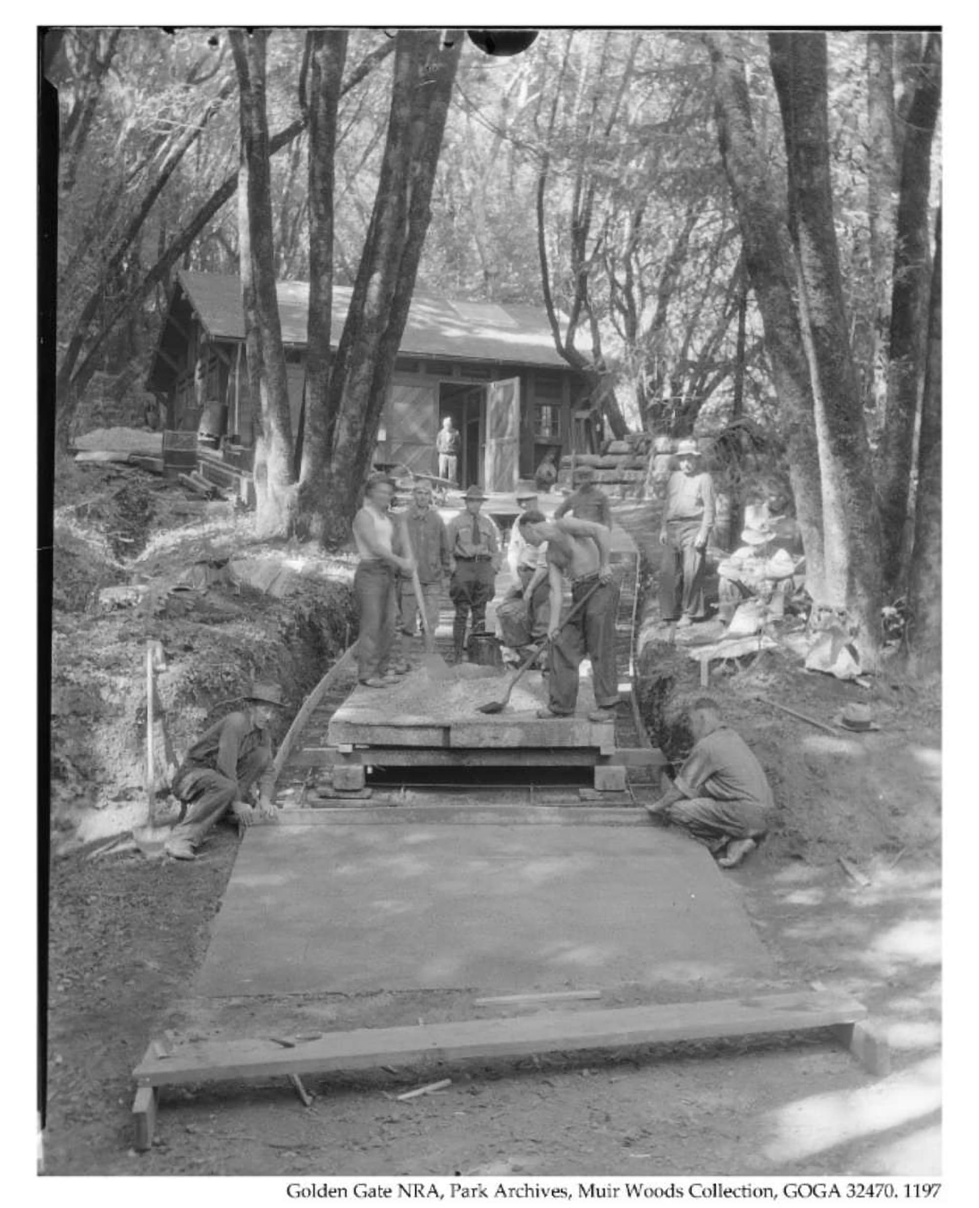 Civilian Conservation Corp at Muir Woods