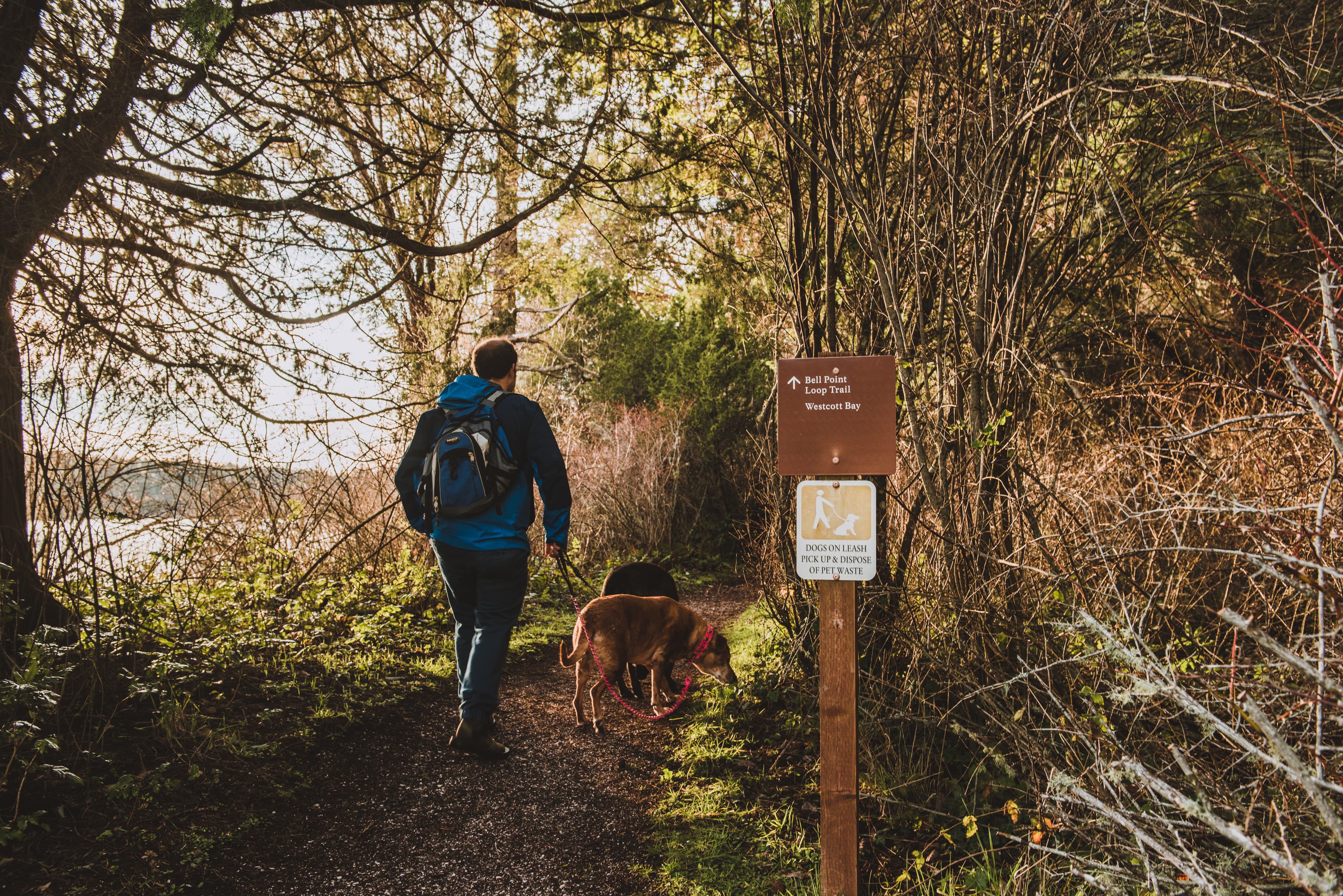 Bell Point Trailhead