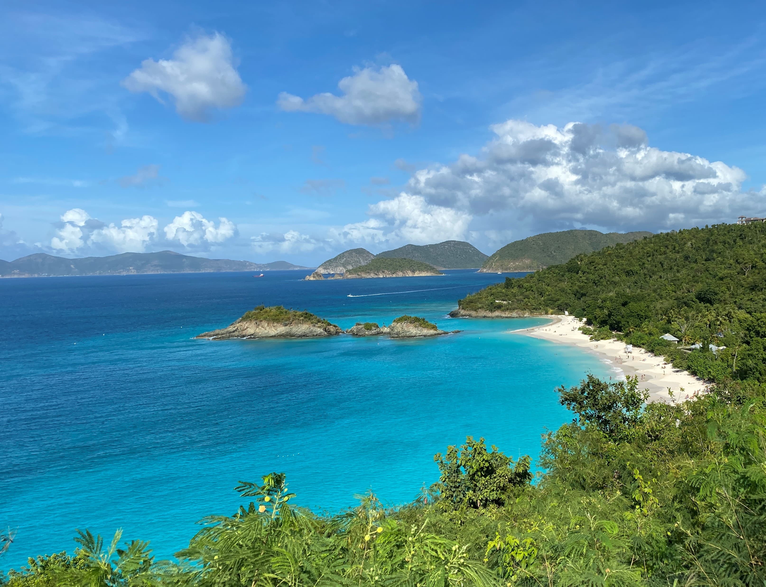 Trunk Bay