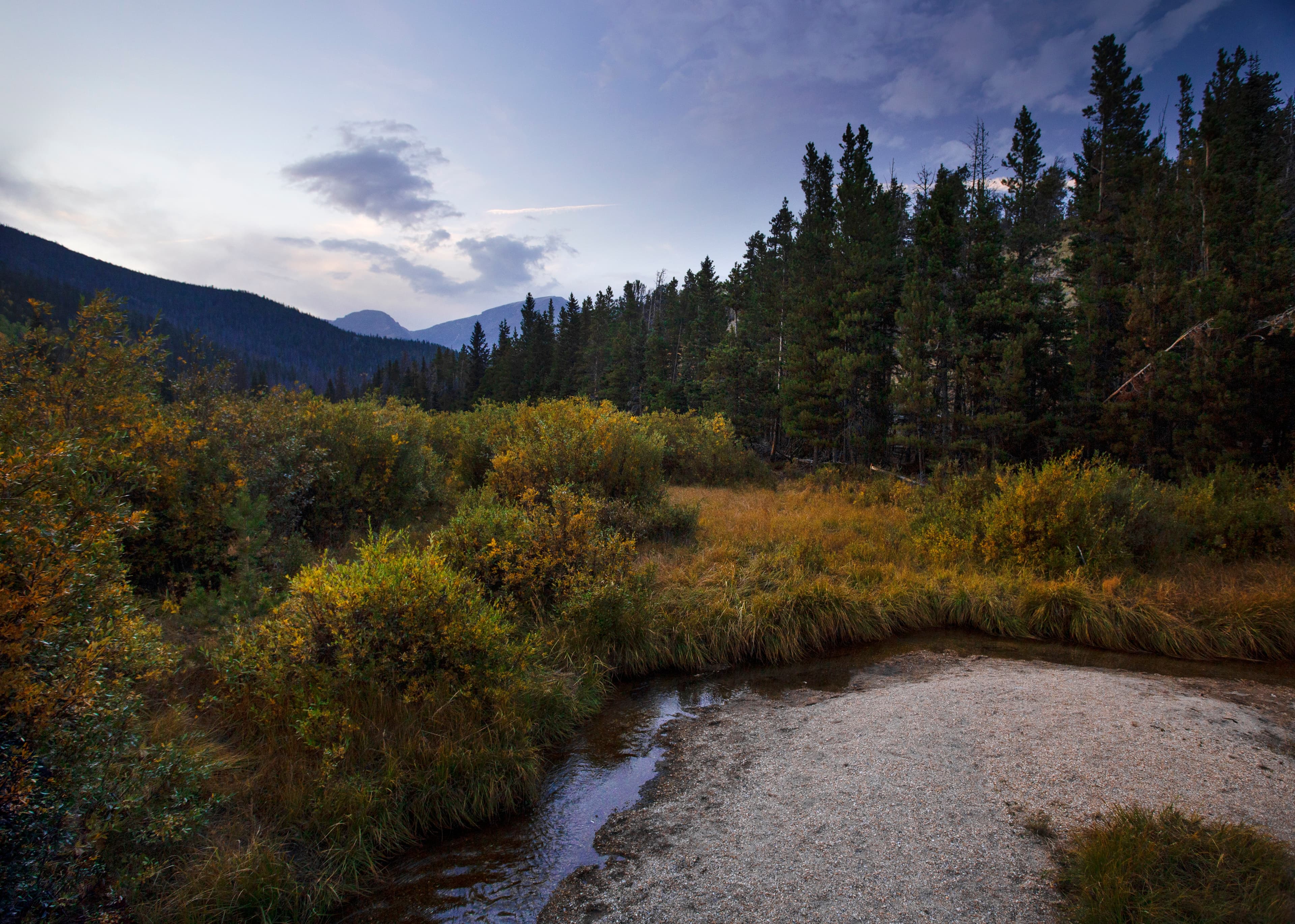 Beaver Ponds on Trail Ridge Road