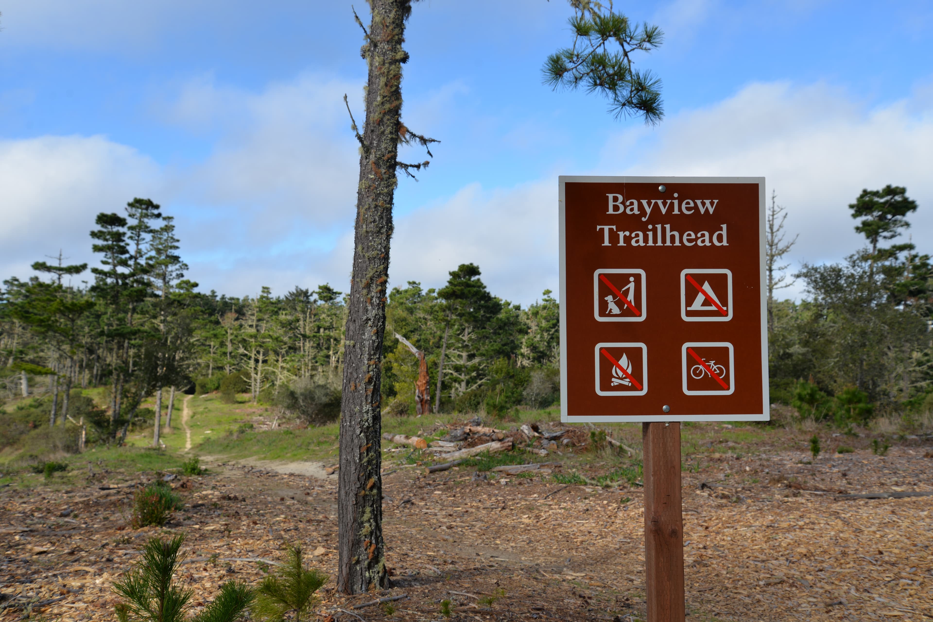 Bayview Trailhead