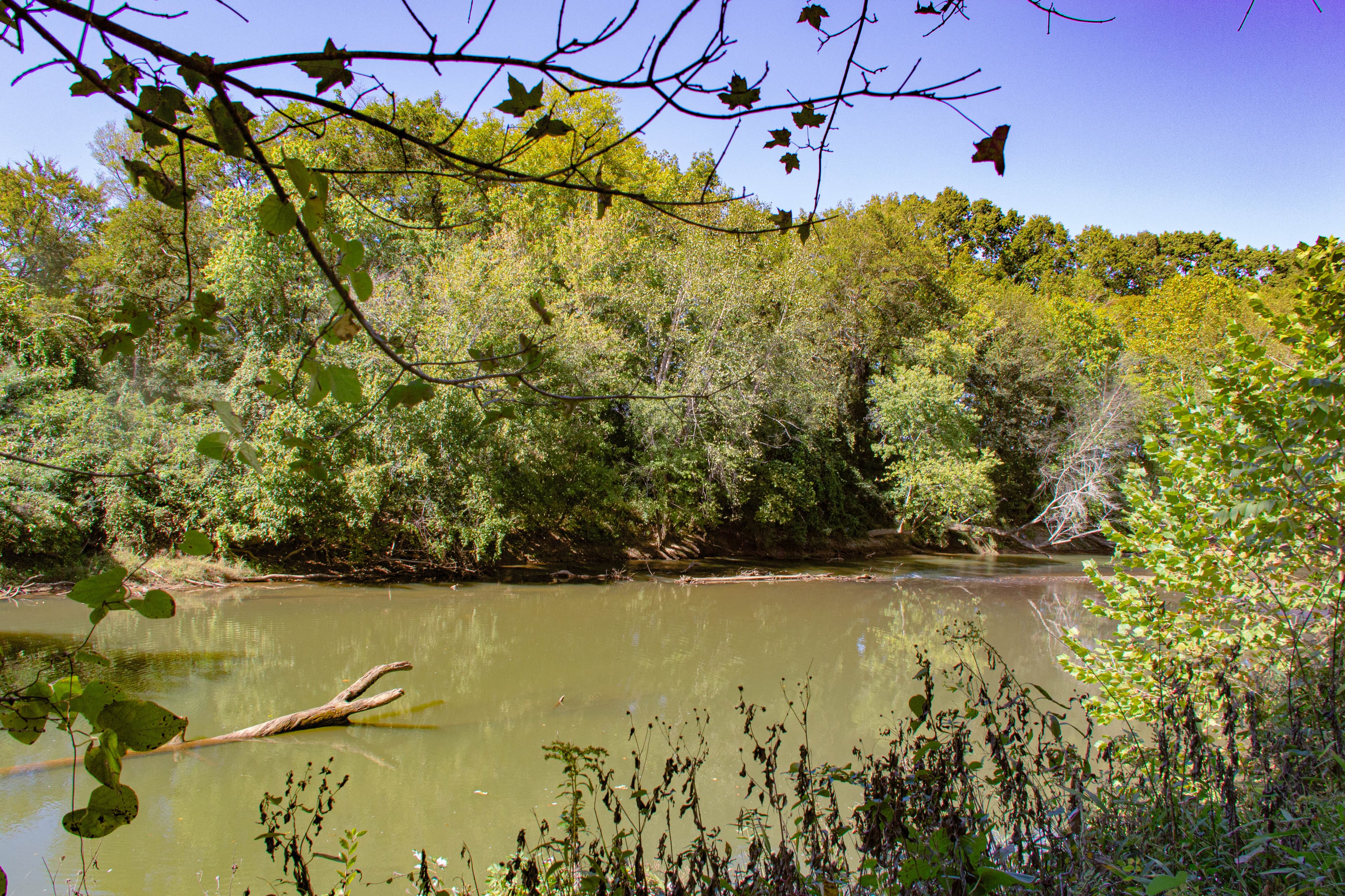 Bear Creek Picnic Area, Milepost 313