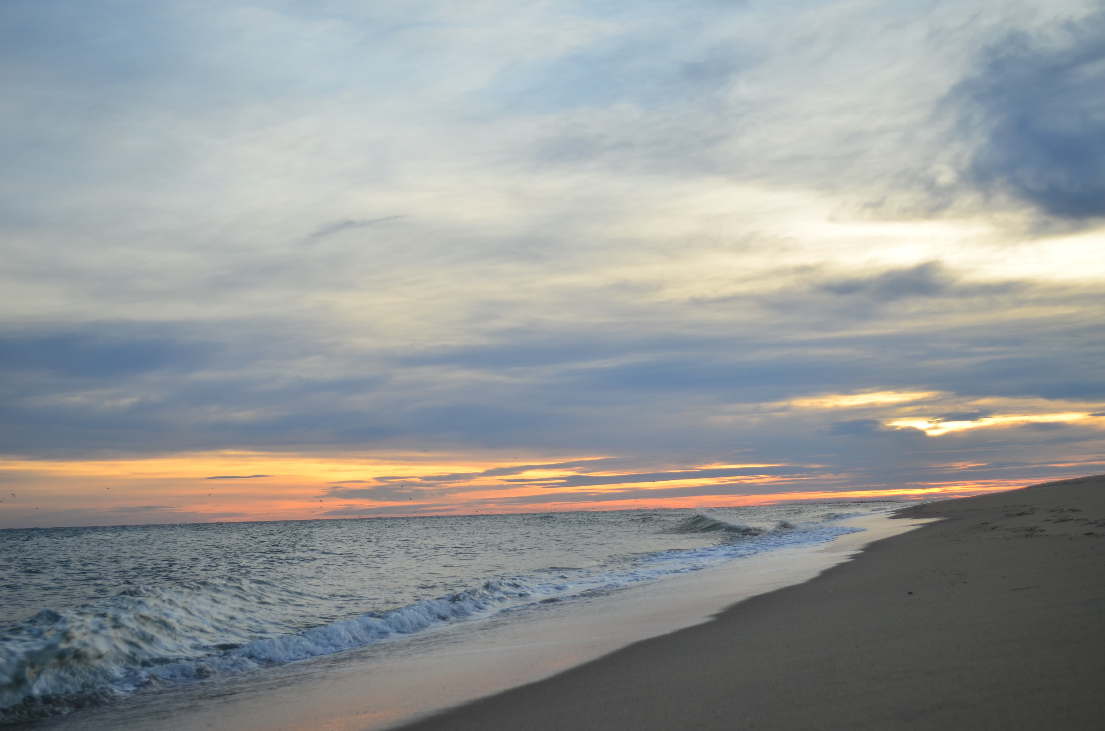 Head of the Meadow Beach