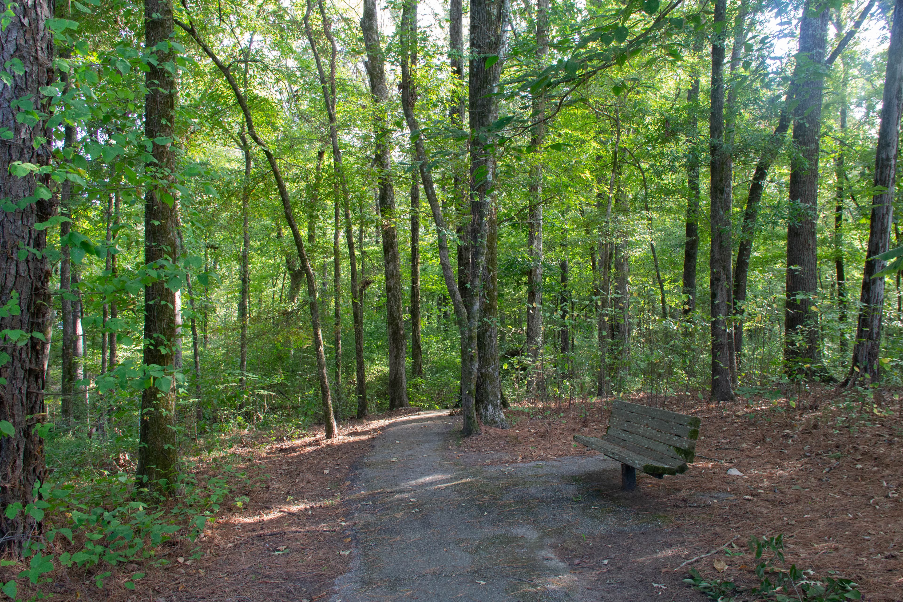Beech Springs Nature Trail, Milepost 266