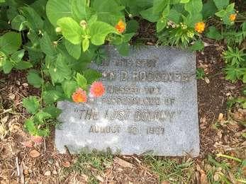 FDR Marker