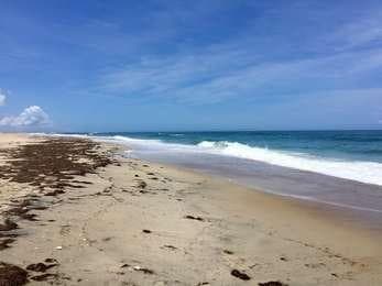 Cape Hatteras National Seashore