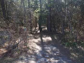 Freedom Trail- Fort Raleigh Trailhead